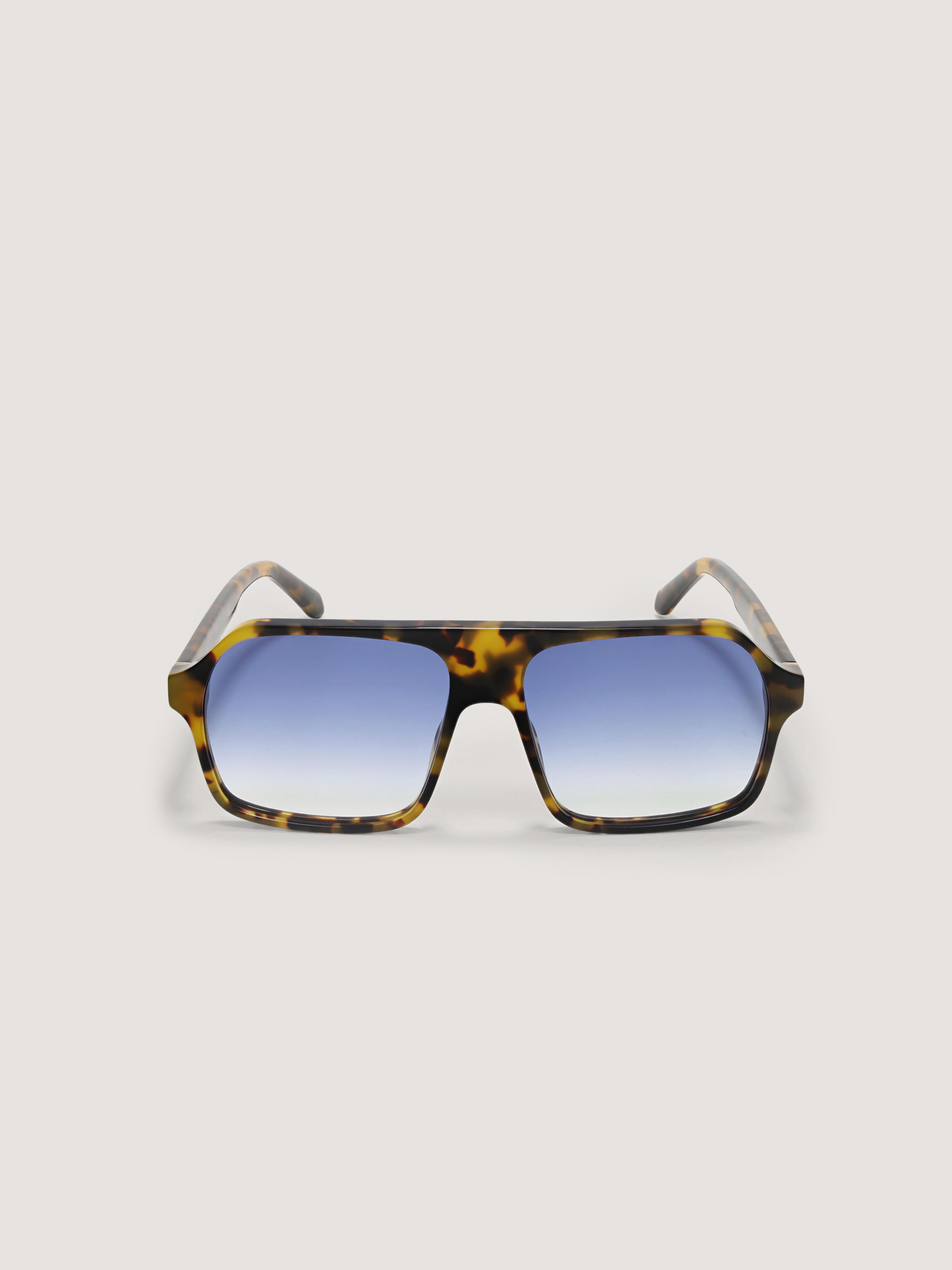 PALM ANGELS Camino Sunglasses SHINY HAVANA PA1027604258