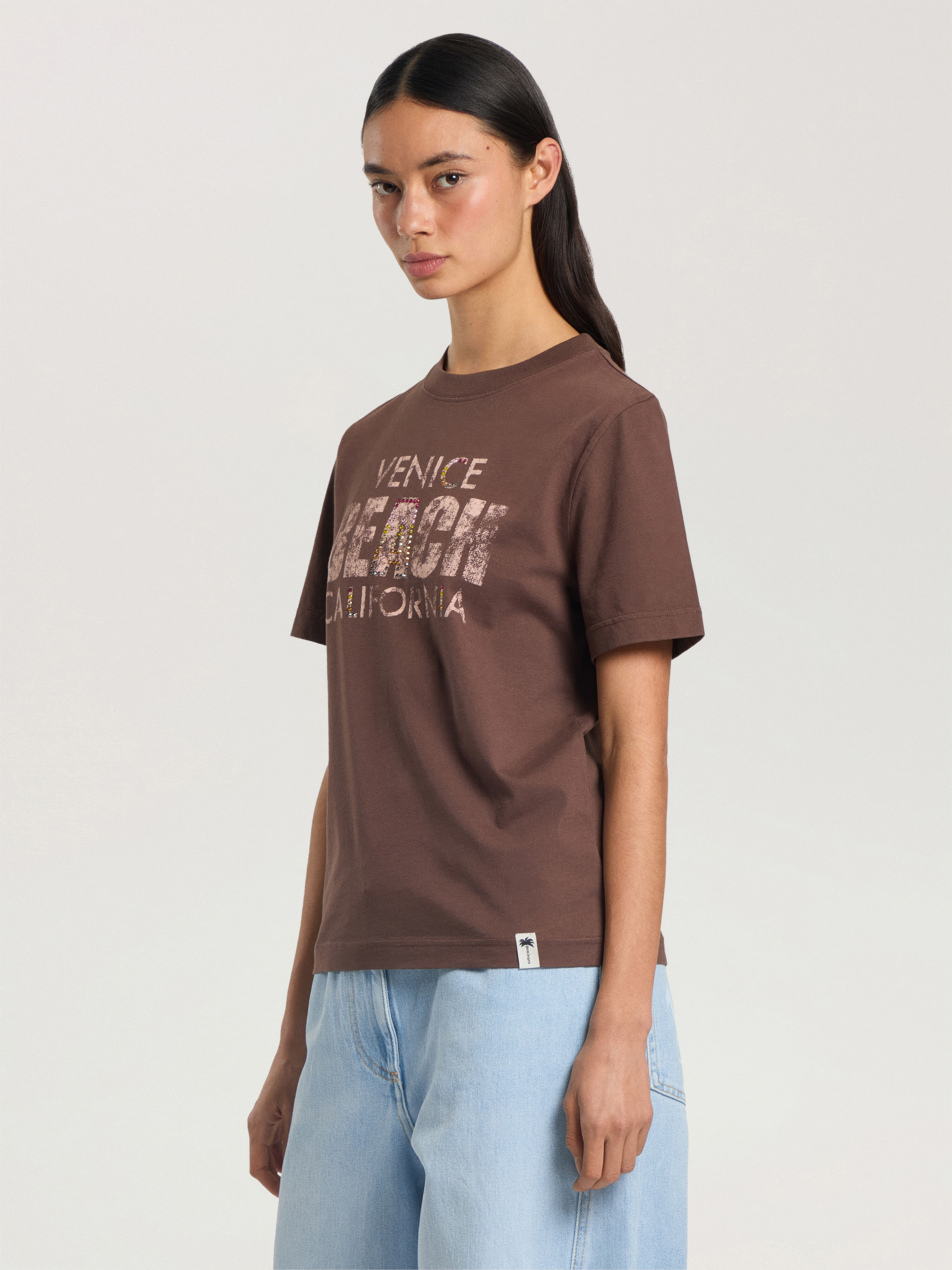 PALM ANGELS Cali Vibes Regular T-Shirt BROWN - PINK PAWAA06F26JR03