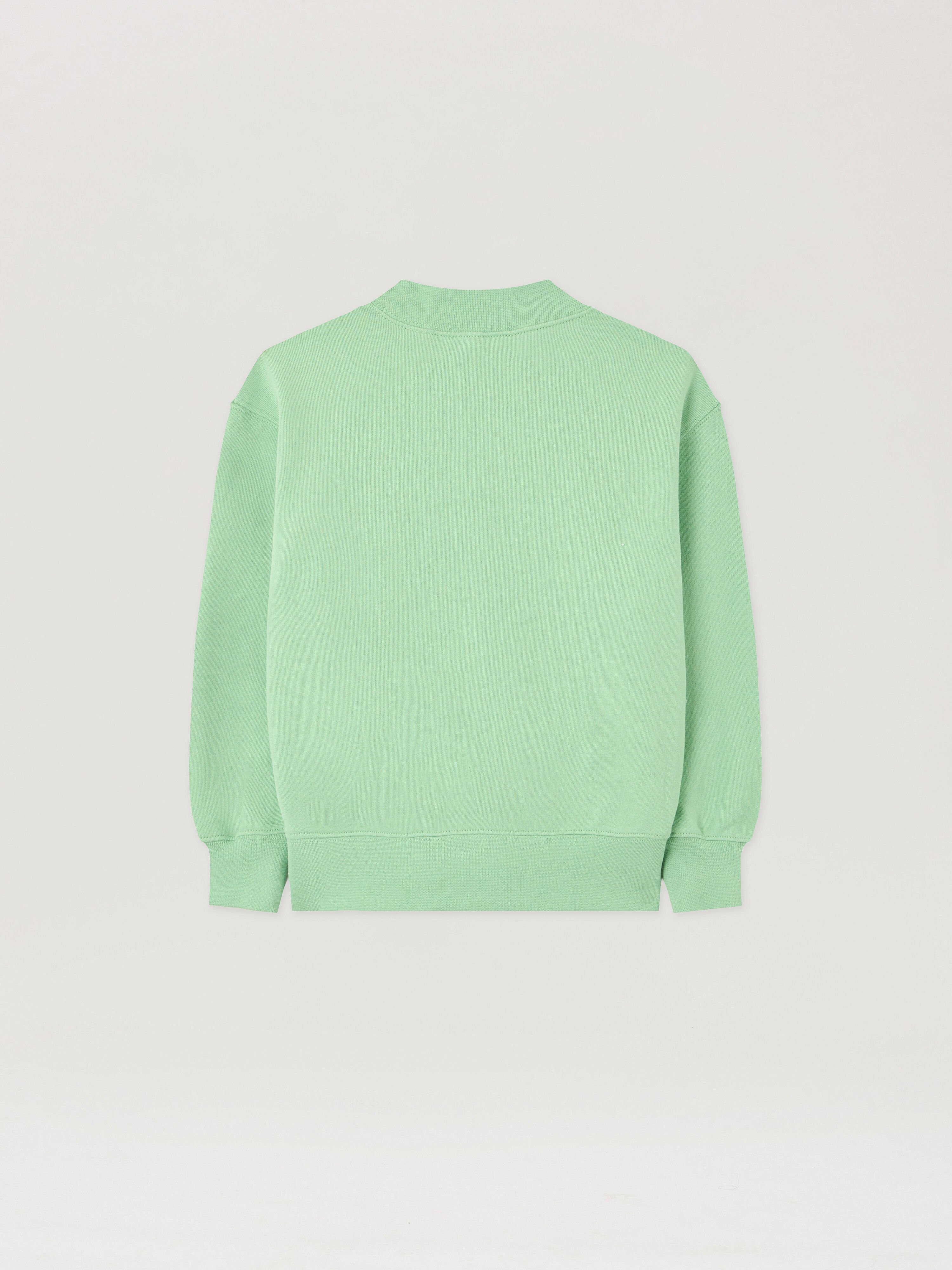 PALM ANGELS Palm Dog Crewneck VERDE/GREEN PBBA012S26FLE009