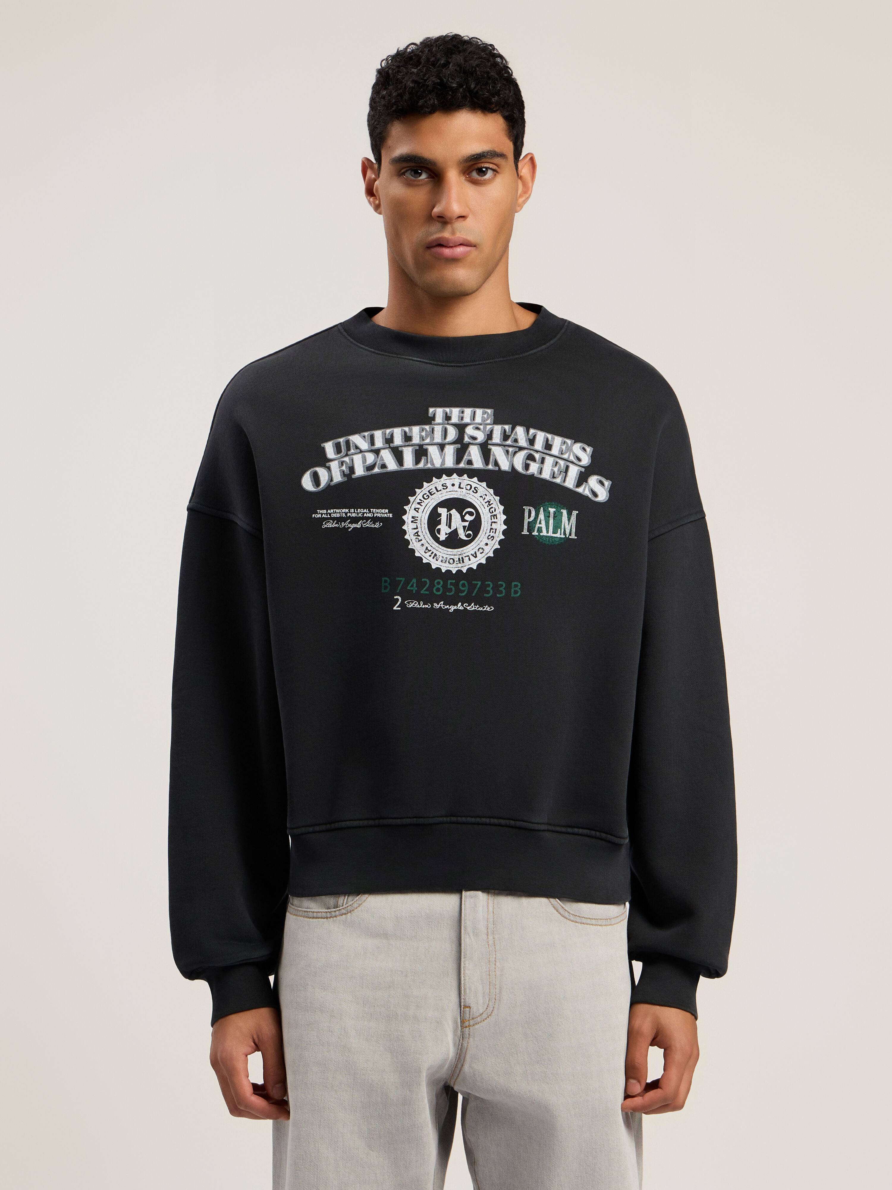 PALM ANGELS Dollar Loose Crew Sweatshirt VINTAGE BLACK - LIGHT GREY PMBA08JF25FLE002