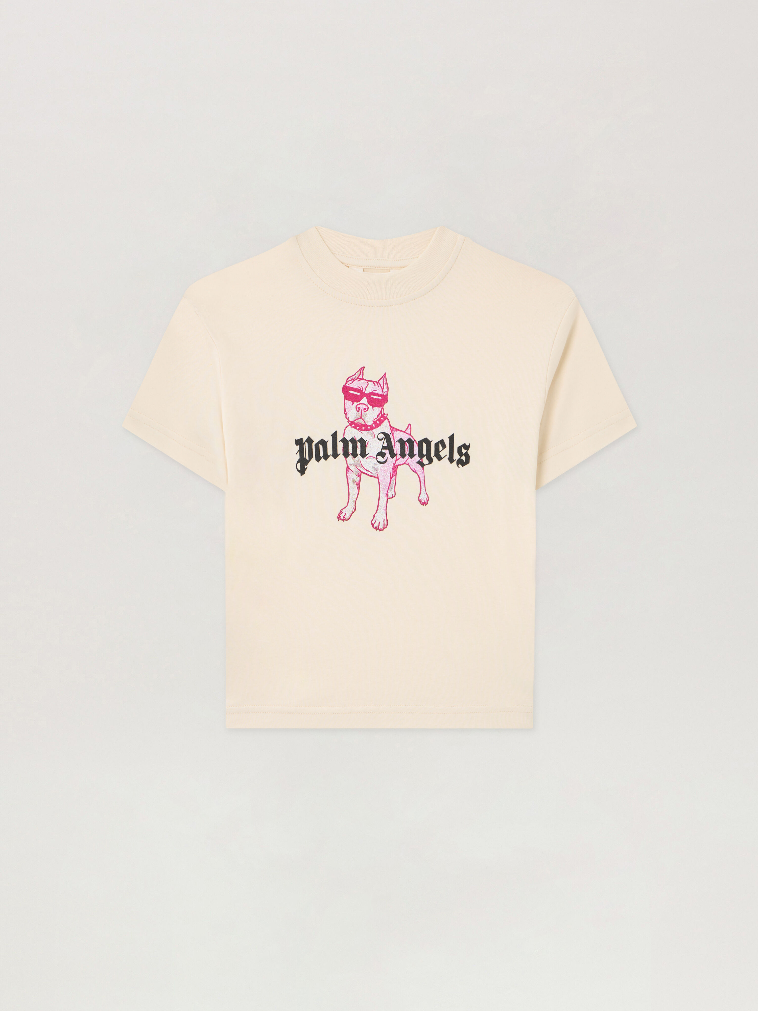 PALM ANGELS Palm Dog T-Shirt OFF WHITE PGAA002S26JER009