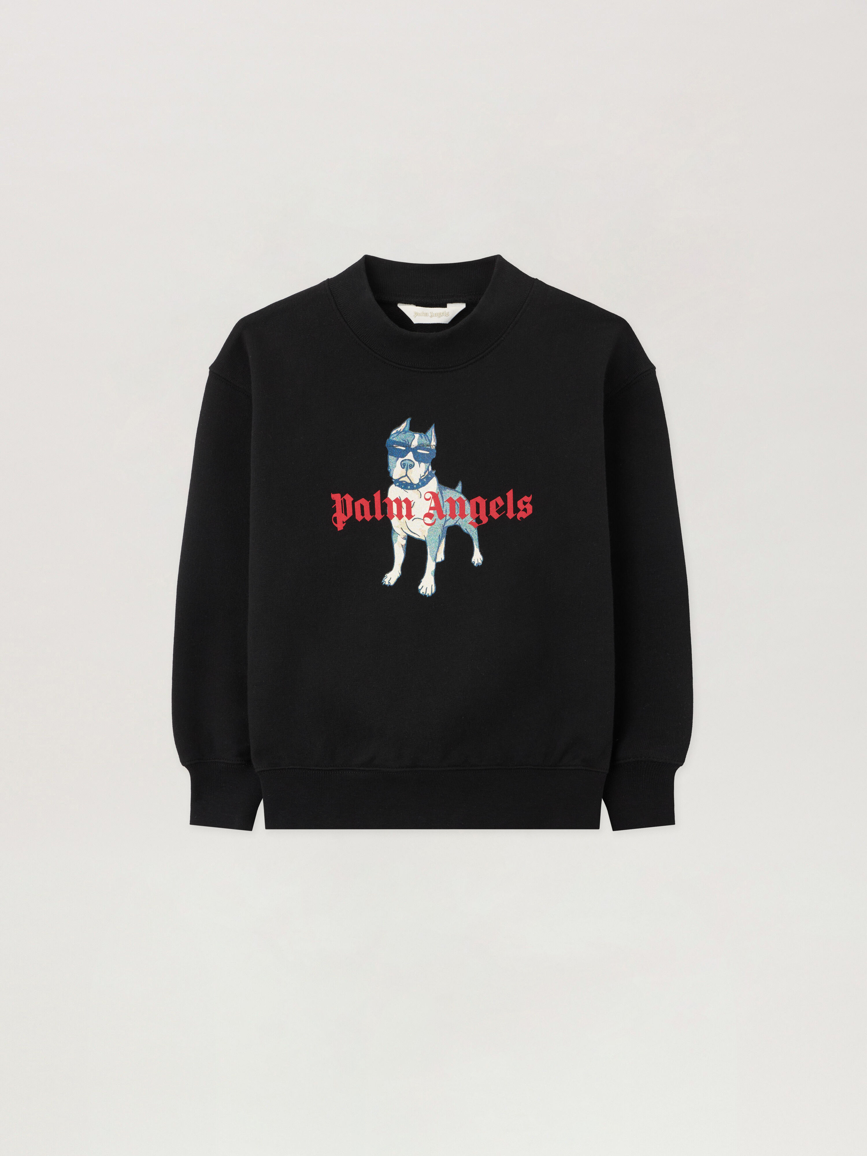 Palm Dog Graphic Hoodie in NERO/BLACK | Palm Angels®