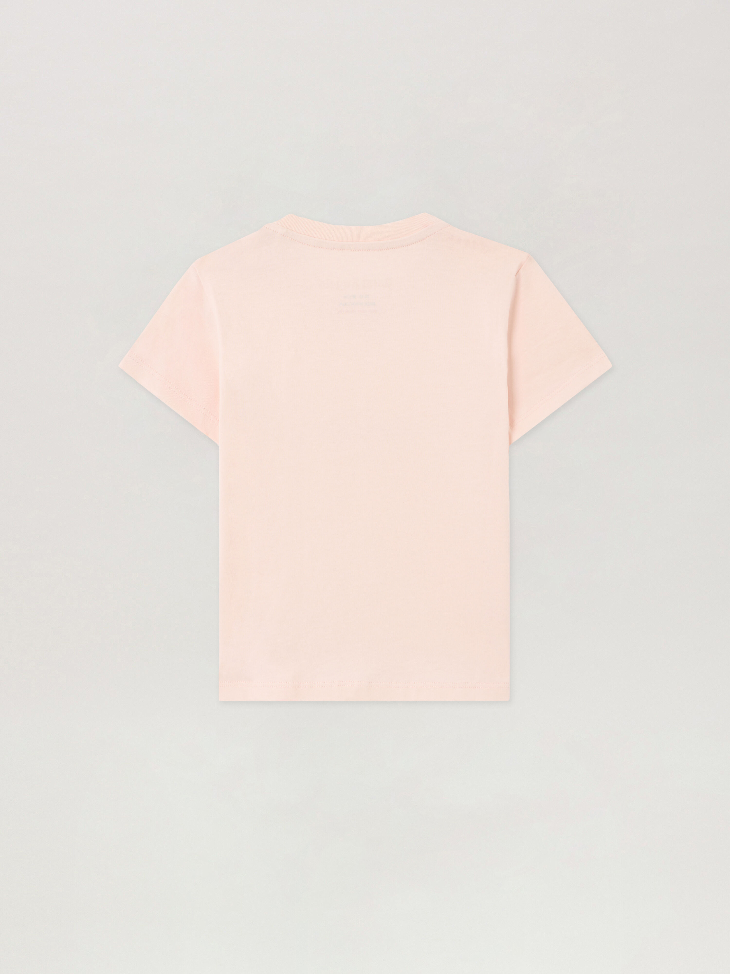 PALM ANGELS Spray Bear T-Shirt ROSA/PINK PGXB001S26JER001