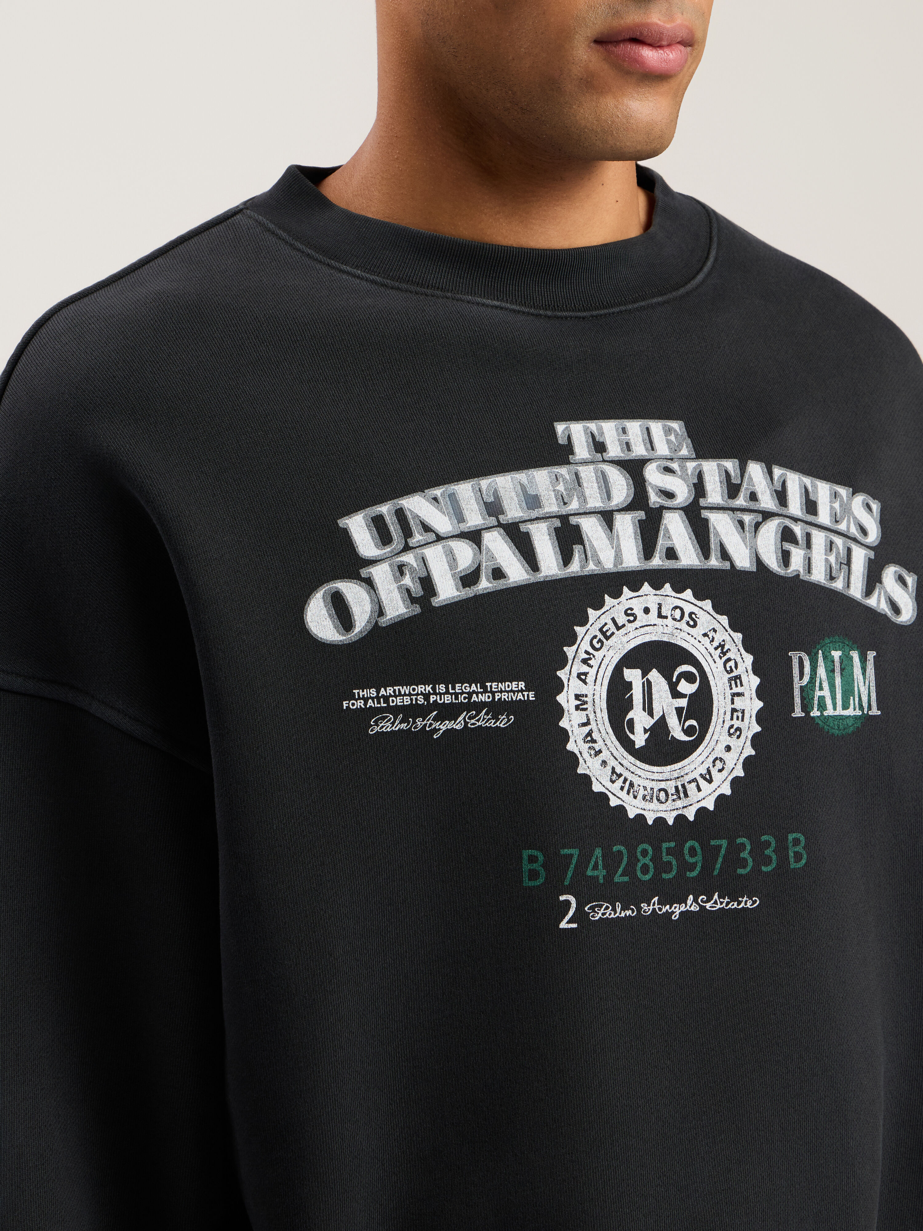 PALM ANGELS Dollar Loose Crew Sweatshirt VINTAGE BLACK - LIGHT GREY PMBA08JF25FLE002