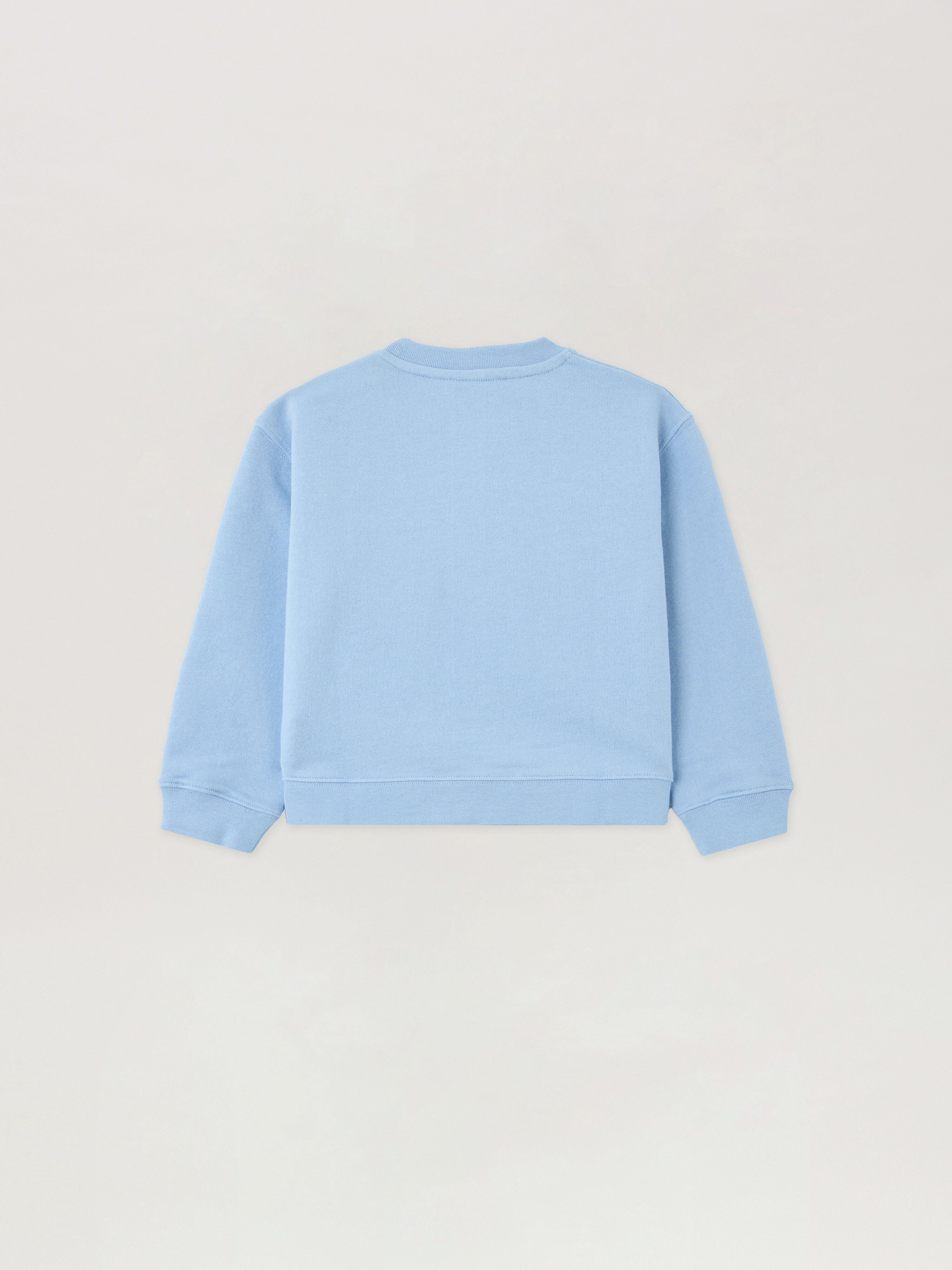 PALM ANGELS Curved Logo Crewneck CELESTE/LIGHT BLUE PBXC001S26FLE002
