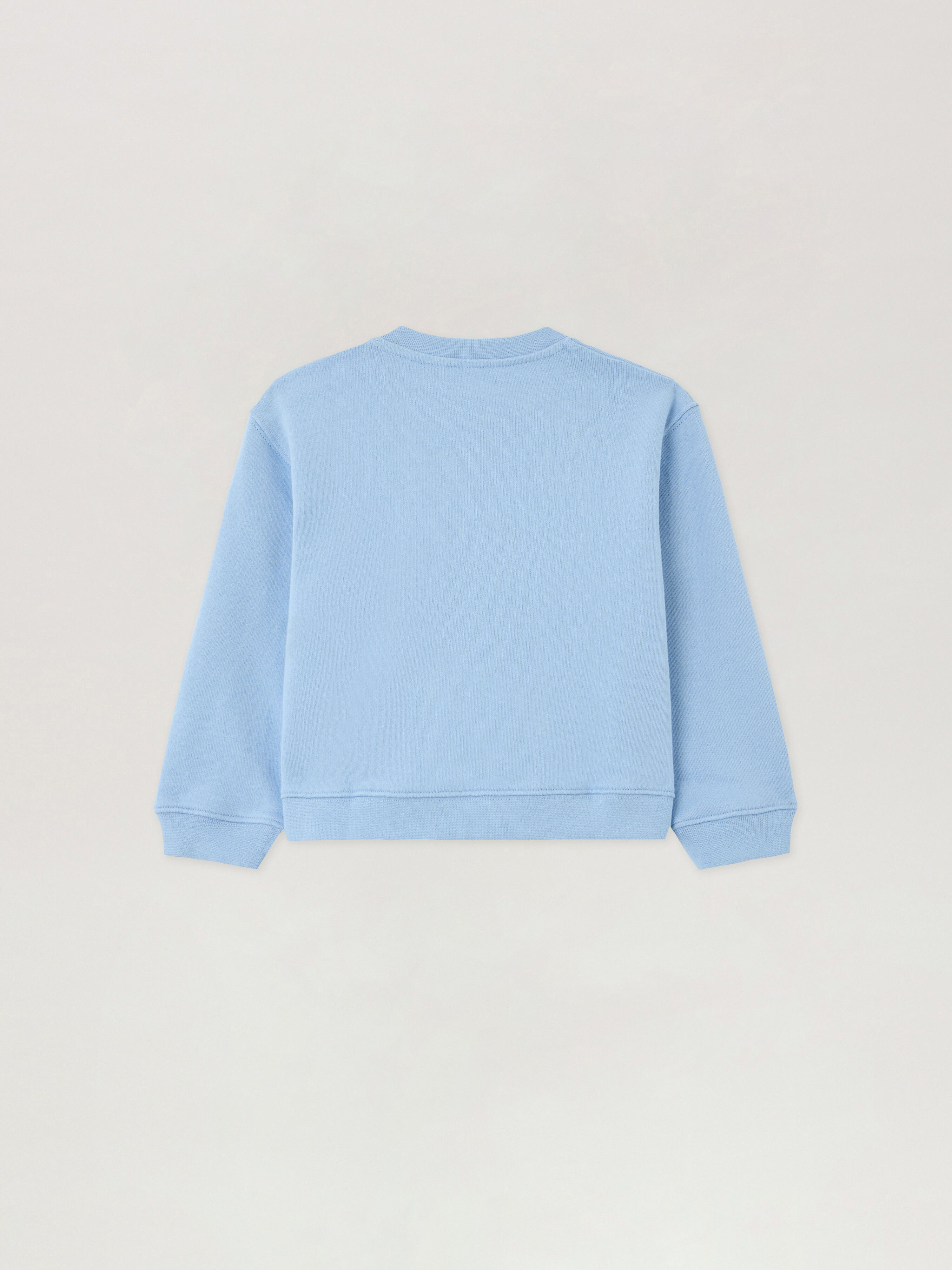 PALM ANGELS Spray Bear Crewneck CELESTE/LIGHT BLUE PBXC001S26FLE001