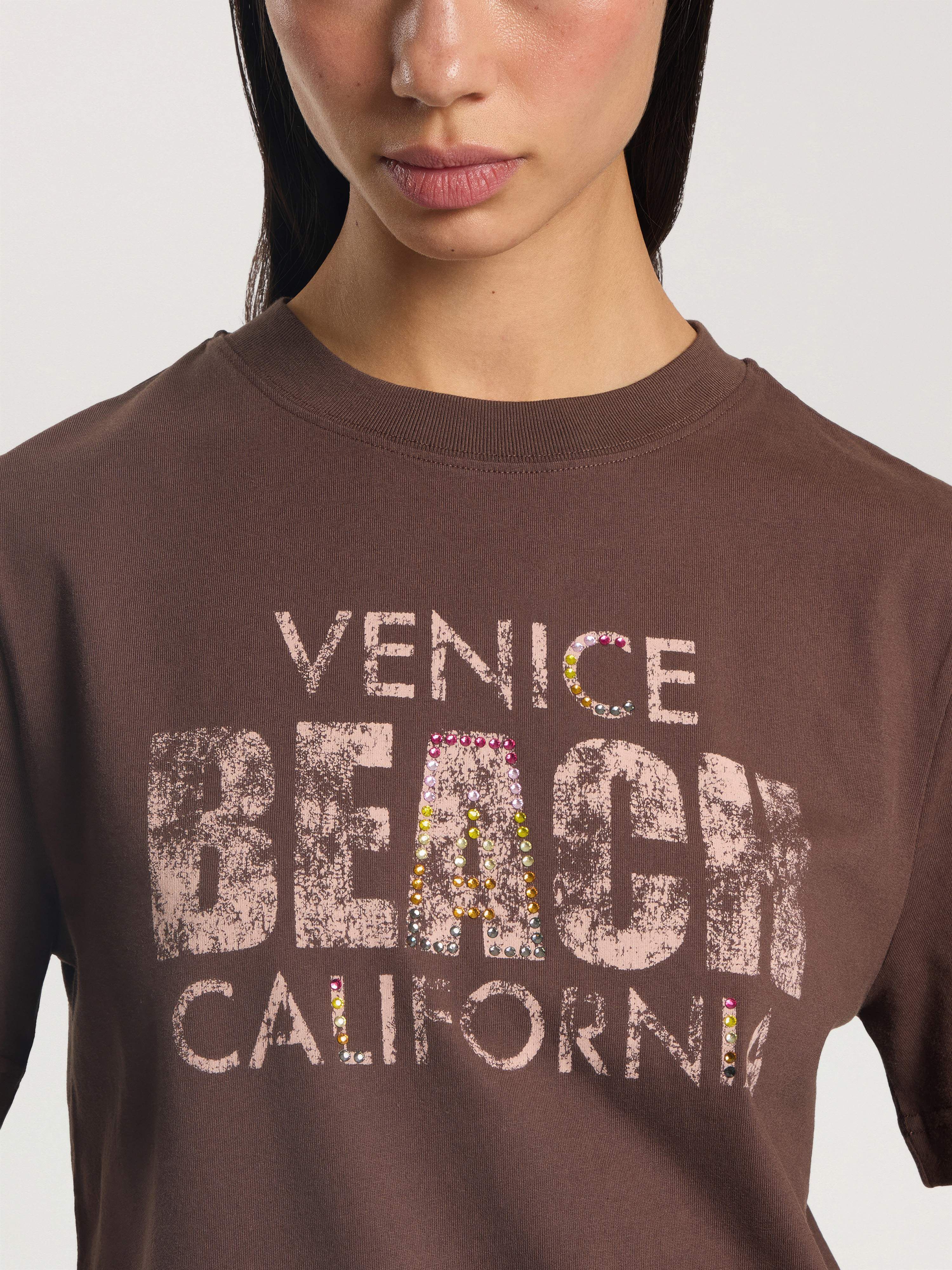 PALM ANGELS Cali Vibes Regular T-Shirt BROWN - PINK PAWAA06F26JR03