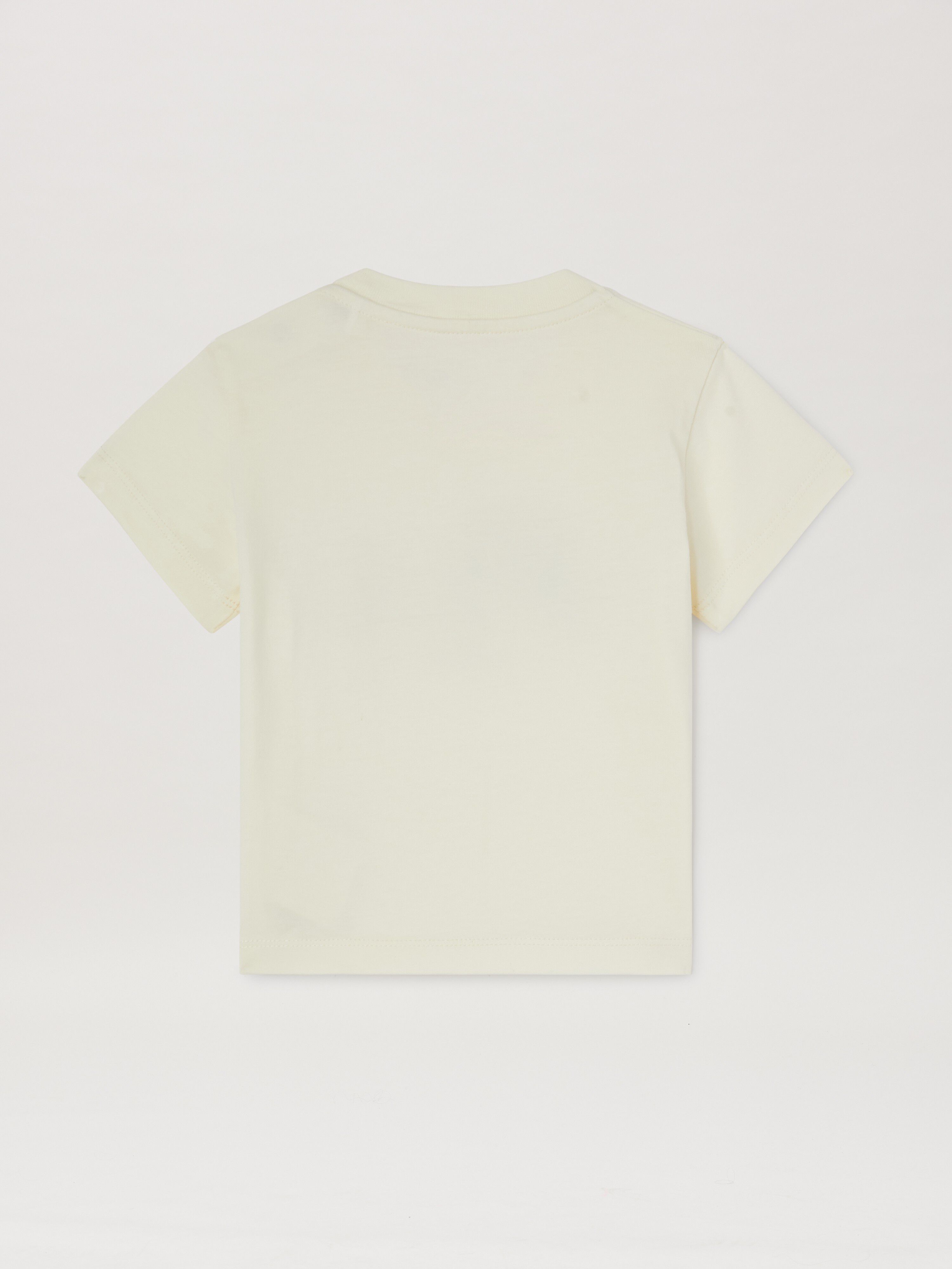 PALM ANGELS  Bear T-shirt ICE - MARRONE PGXB001S25JER002