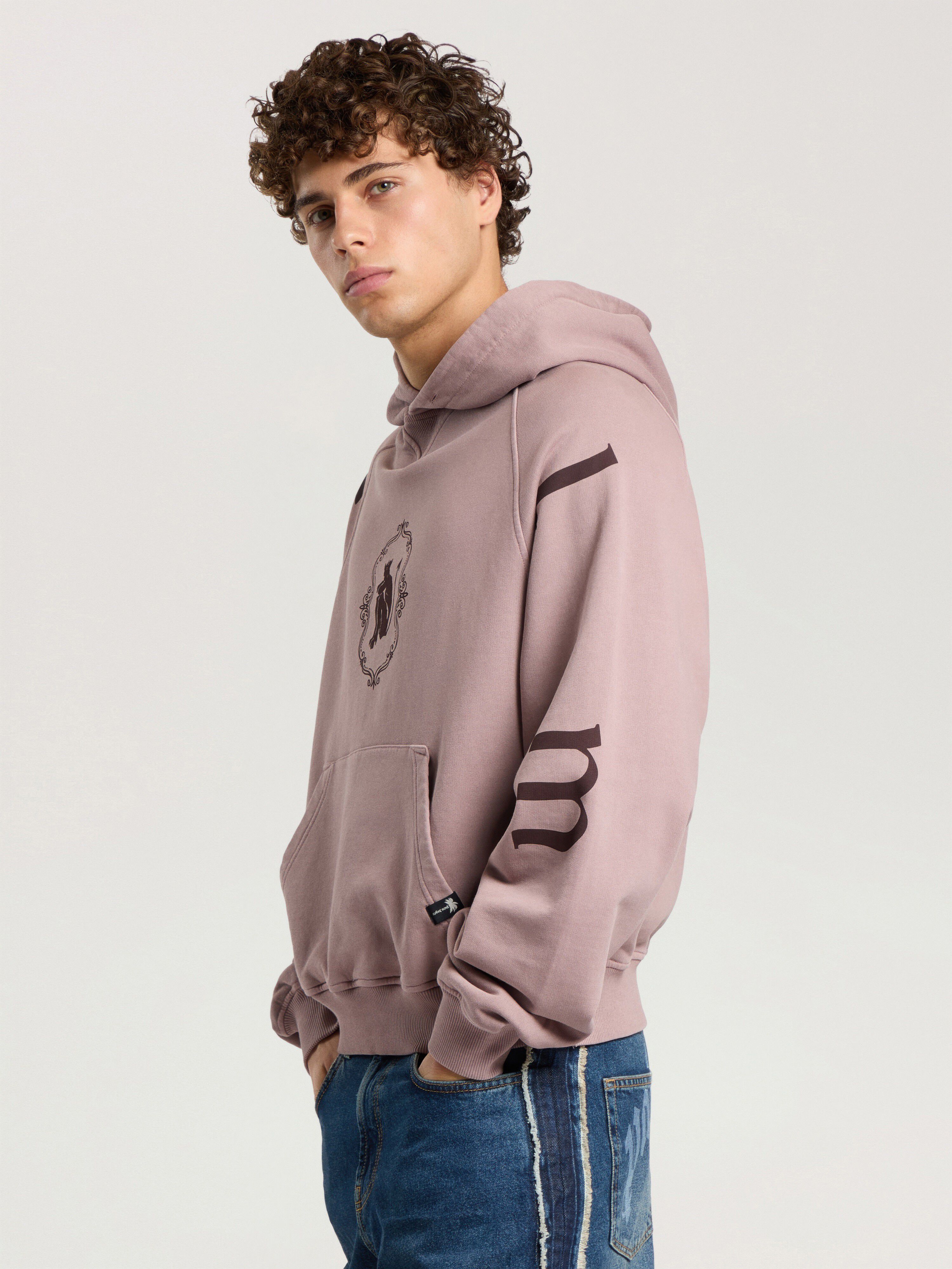 Devil Herald Loose Hoodie PALM ANGELS Devil Herald Loose Hoodie MAUVE - BROWN PAMBB06F26FL02