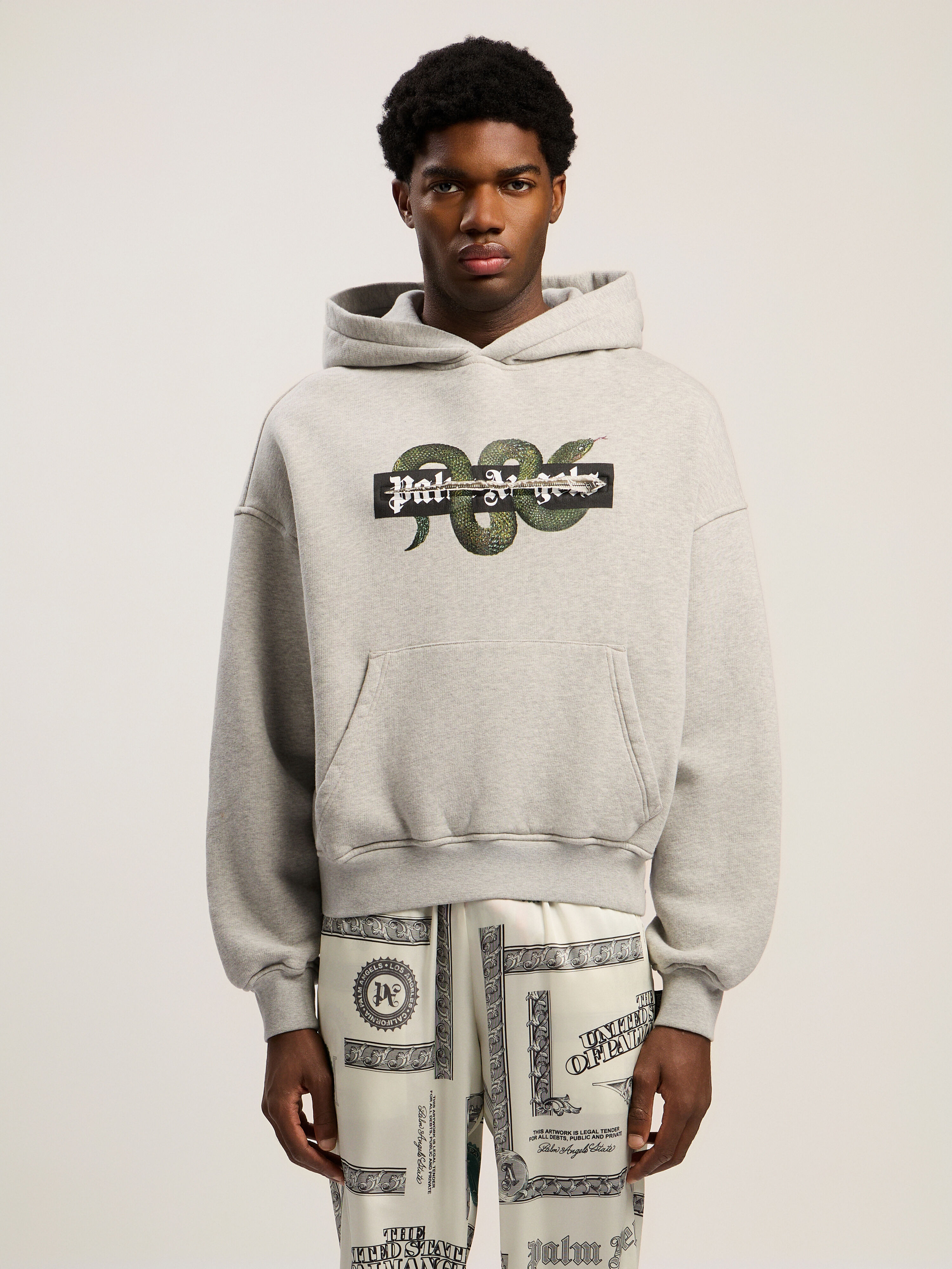 PALM ANGELS Snake Graphic Hoodie GREY MELANGE - GREEN PMBB17GF25FLE001