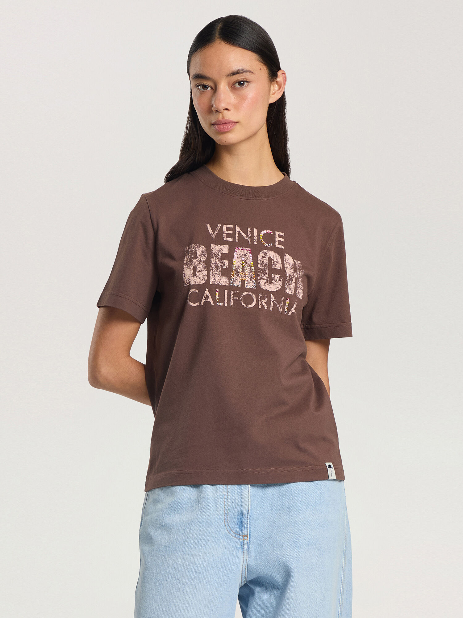 Cali Vibes Regular T-Shirt PALM ANGELS Cali Vibes Regular T-Shirt BROWN - PINK PAWAA06F26JR03
