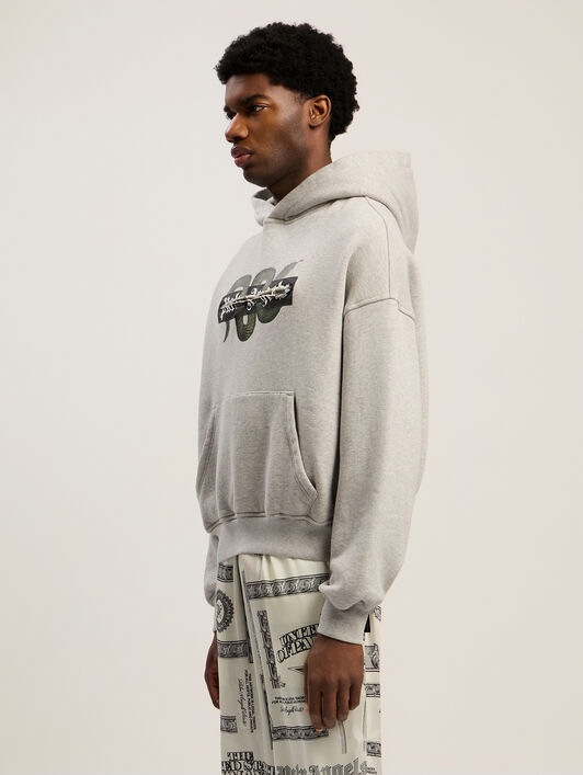 PALM ANGELS Snake Graphic Hoodie GREY MELANGE - GREEN PMBB17GF25FLE001