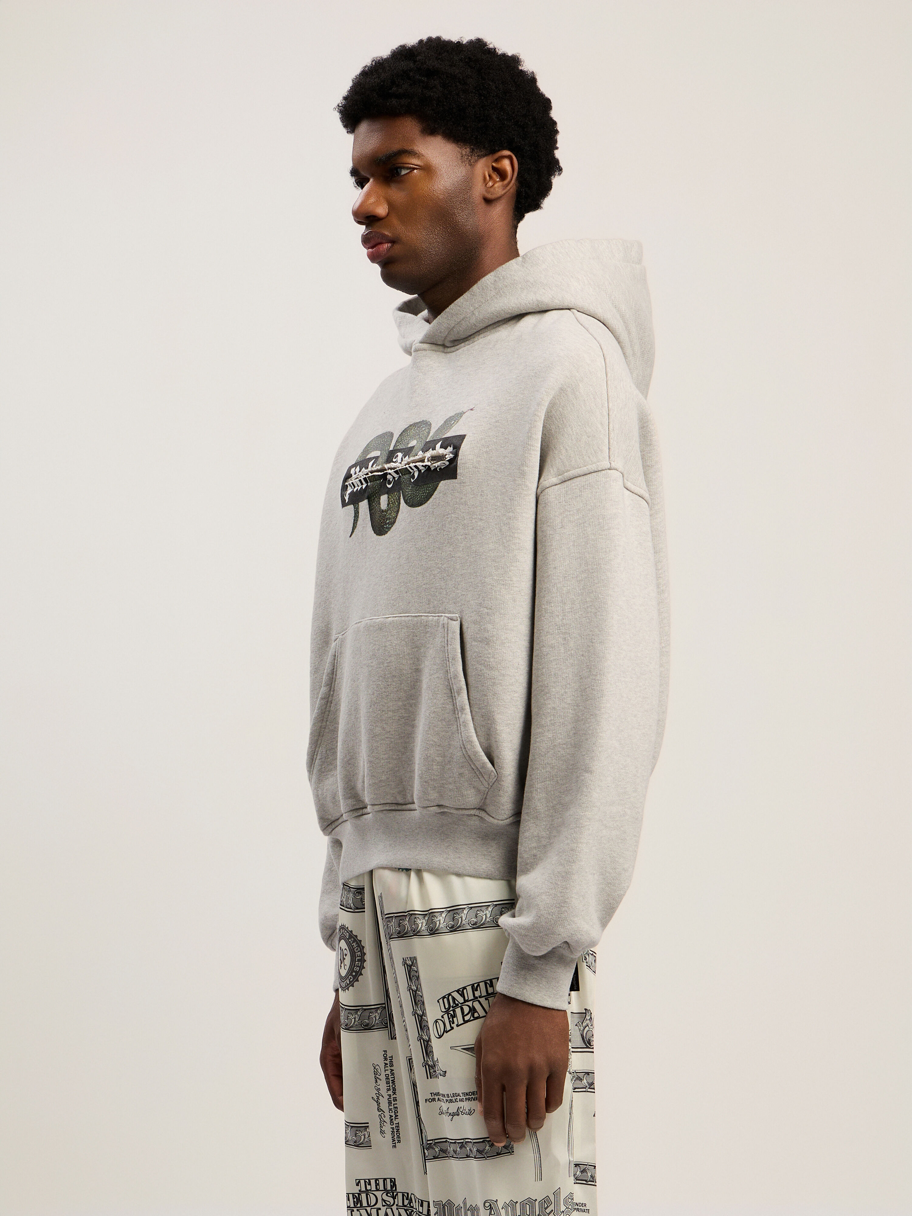 PALM ANGELS Snake Graphic Hoodie GREY MELANGE - GREEN PMBB17GF25FLE001