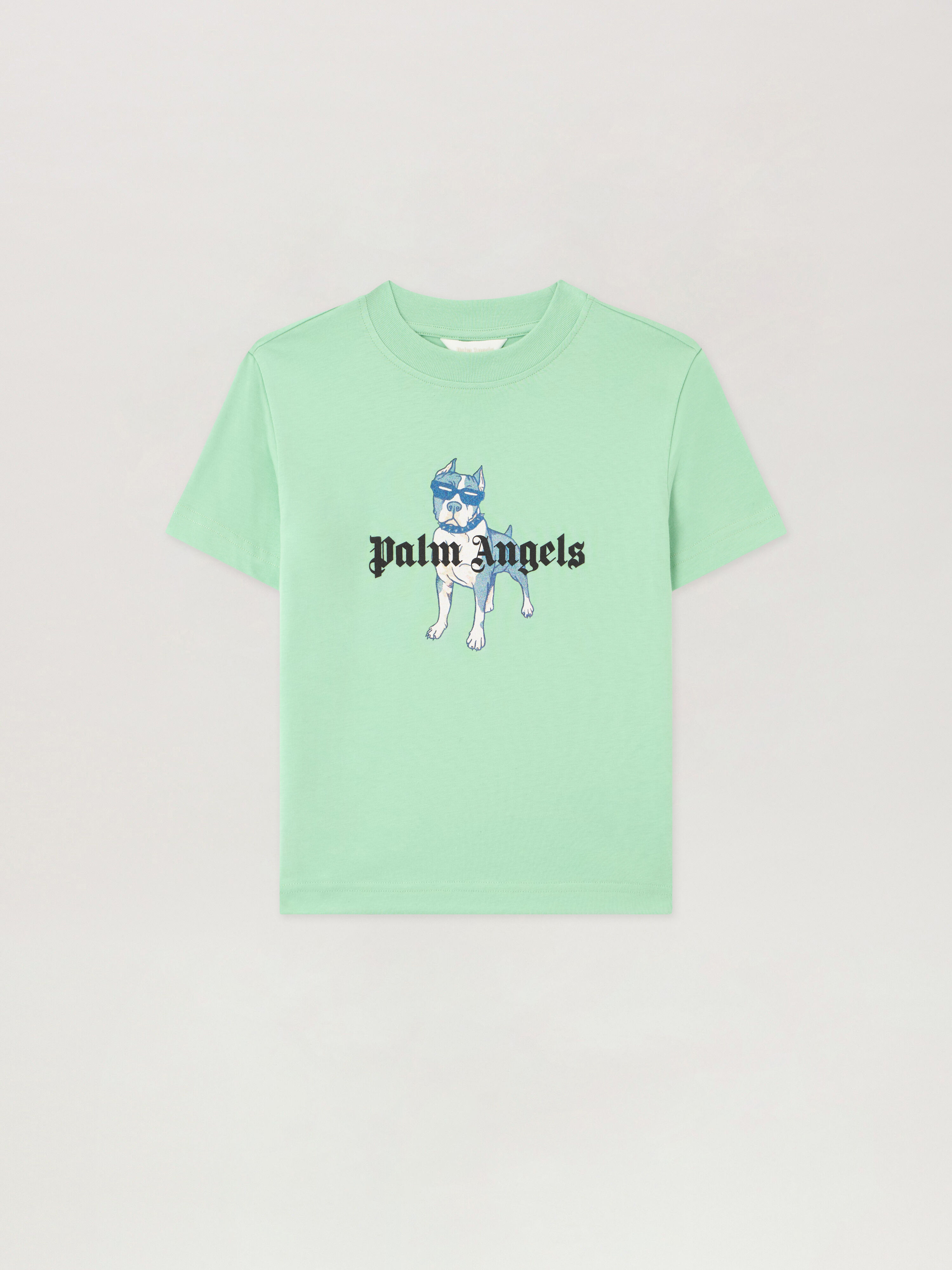 PALM ANGELS Palm Dog.Tshirt VERDE/GREEN PBAA003S26JER008