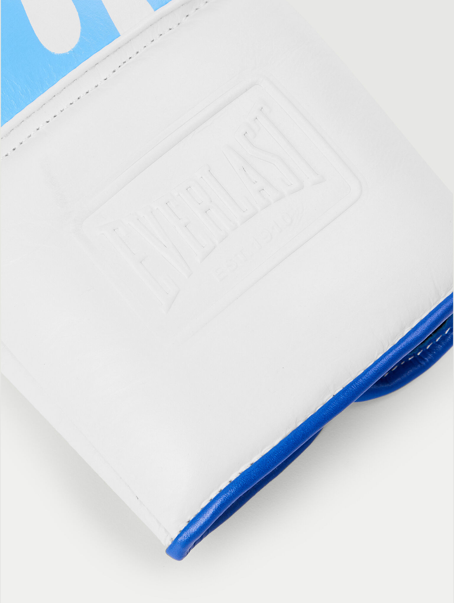 PALM ANGELS Pa X Everlast Gloves WHITE NAVY BLUE PMNE100T26LEA001