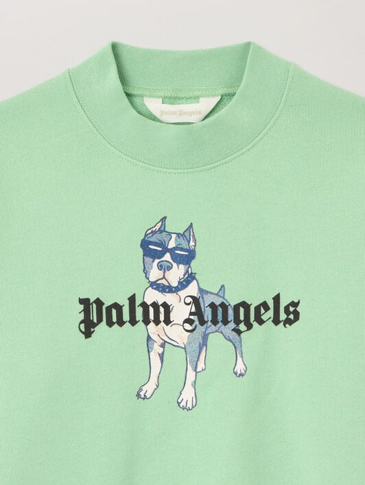 PALM ANGELS Palm Dog Crewneck VERDE/GREEN PBBA012S26FLE009