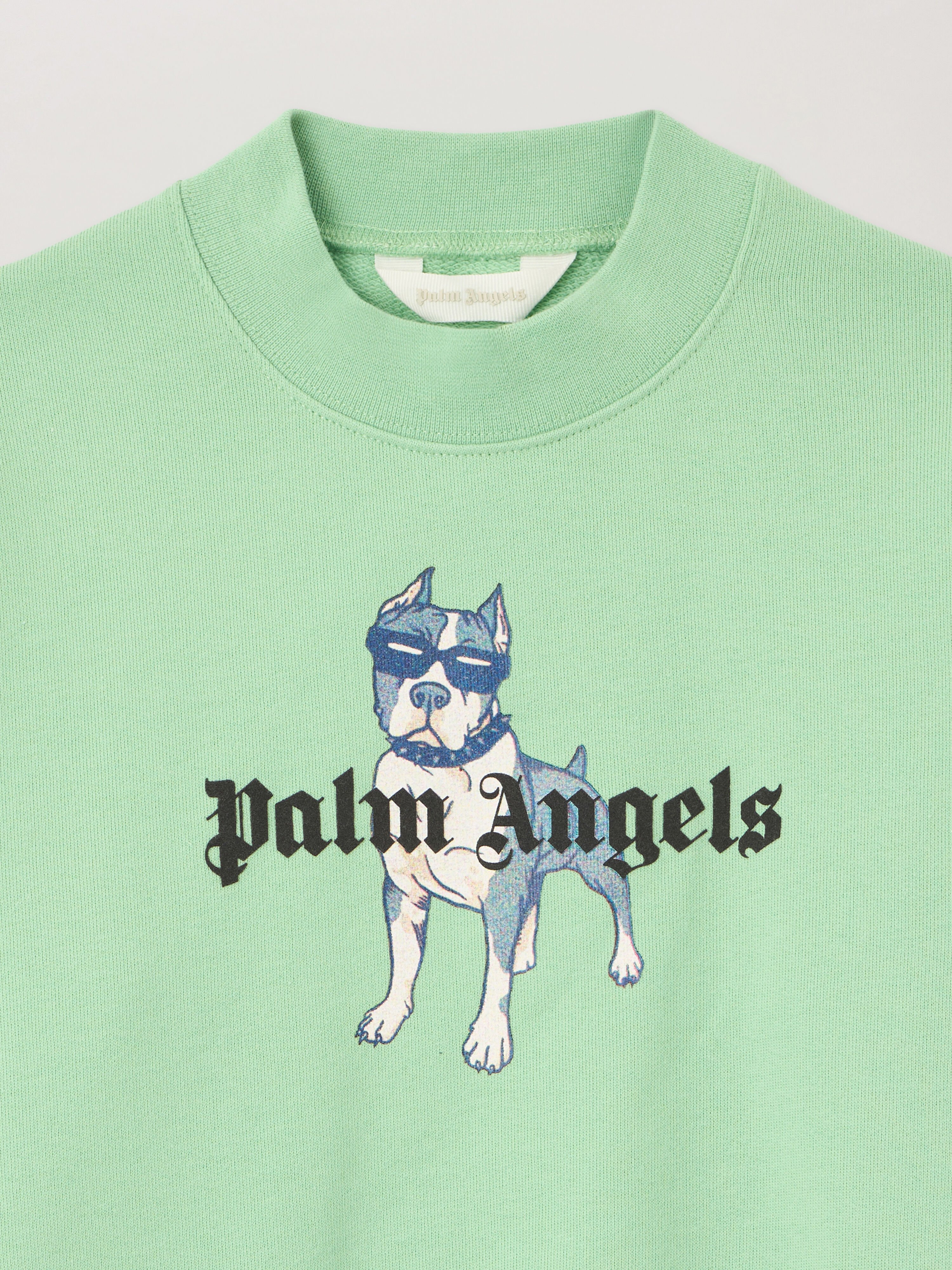 PALM ANGELS Palm Dog Crewneck VERDE/GREEN PBBA012S26FLE009