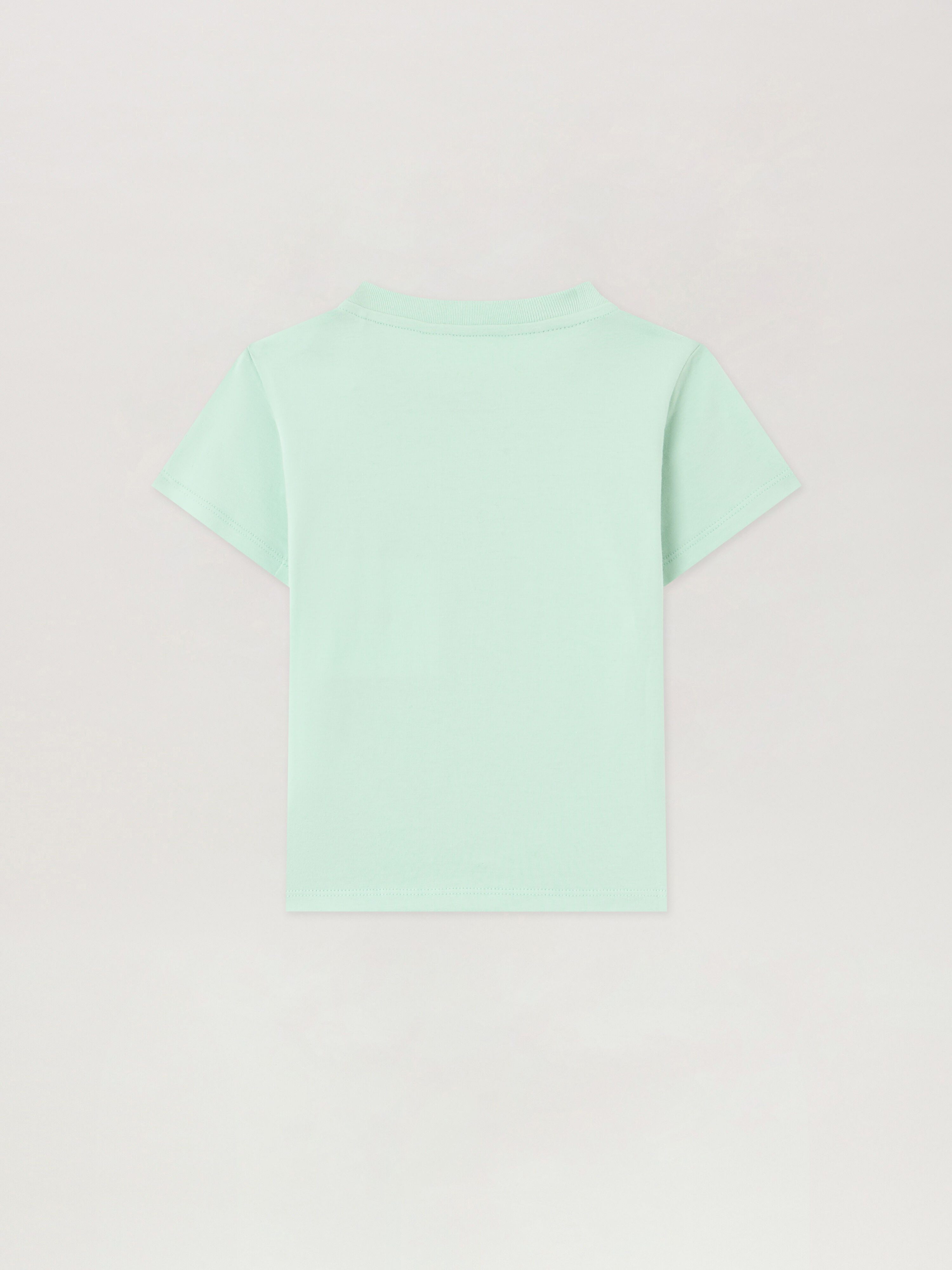 PALM ANGELS Spray Bear T-Shirt VERDE CHIARO/LIGHT GREEN PBXB001S26JER001