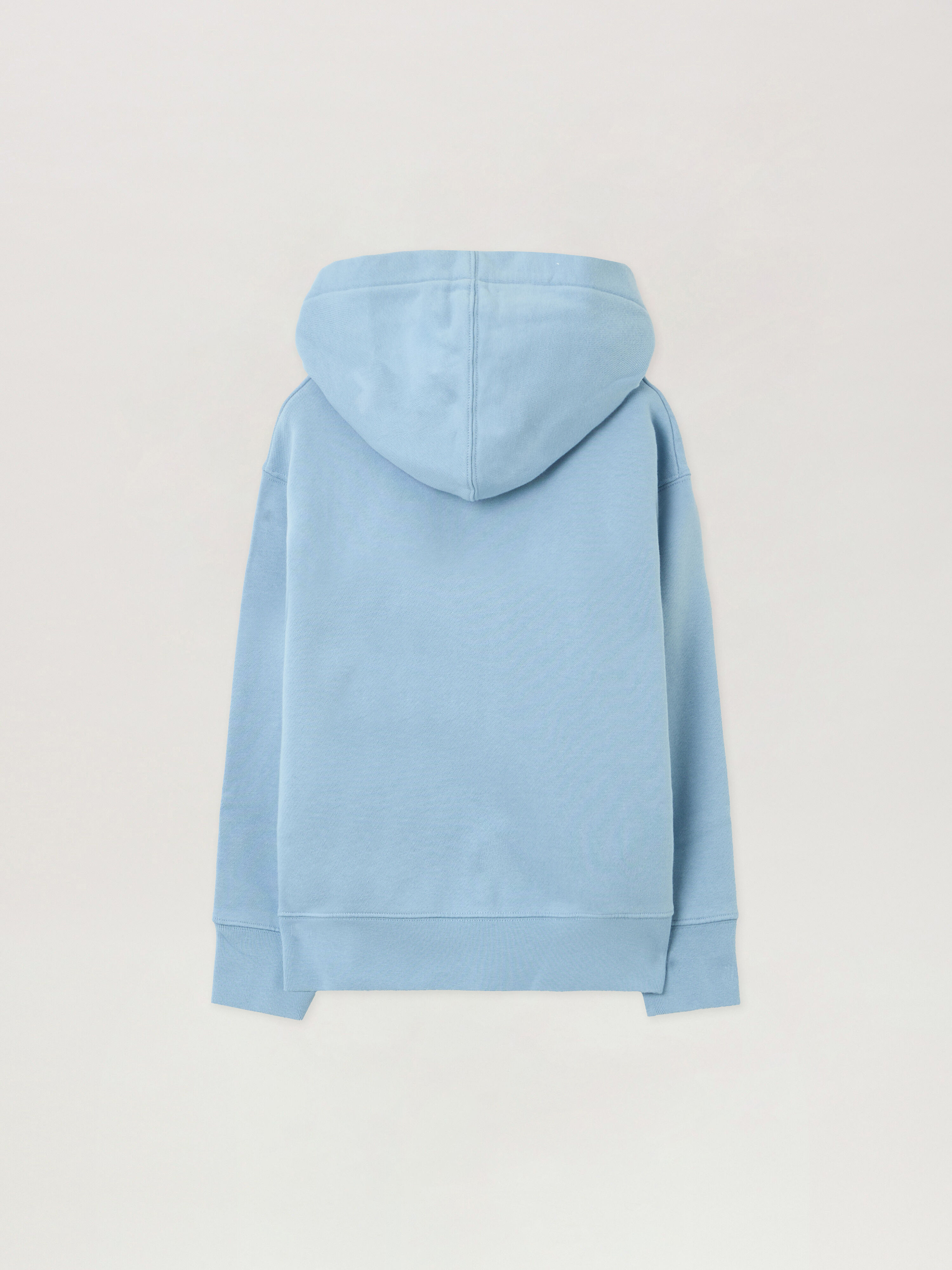PALM ANGELS Neck Logo Reg.Hoodie LIGHT BLUE - BLACK PBBB012F25FLE001