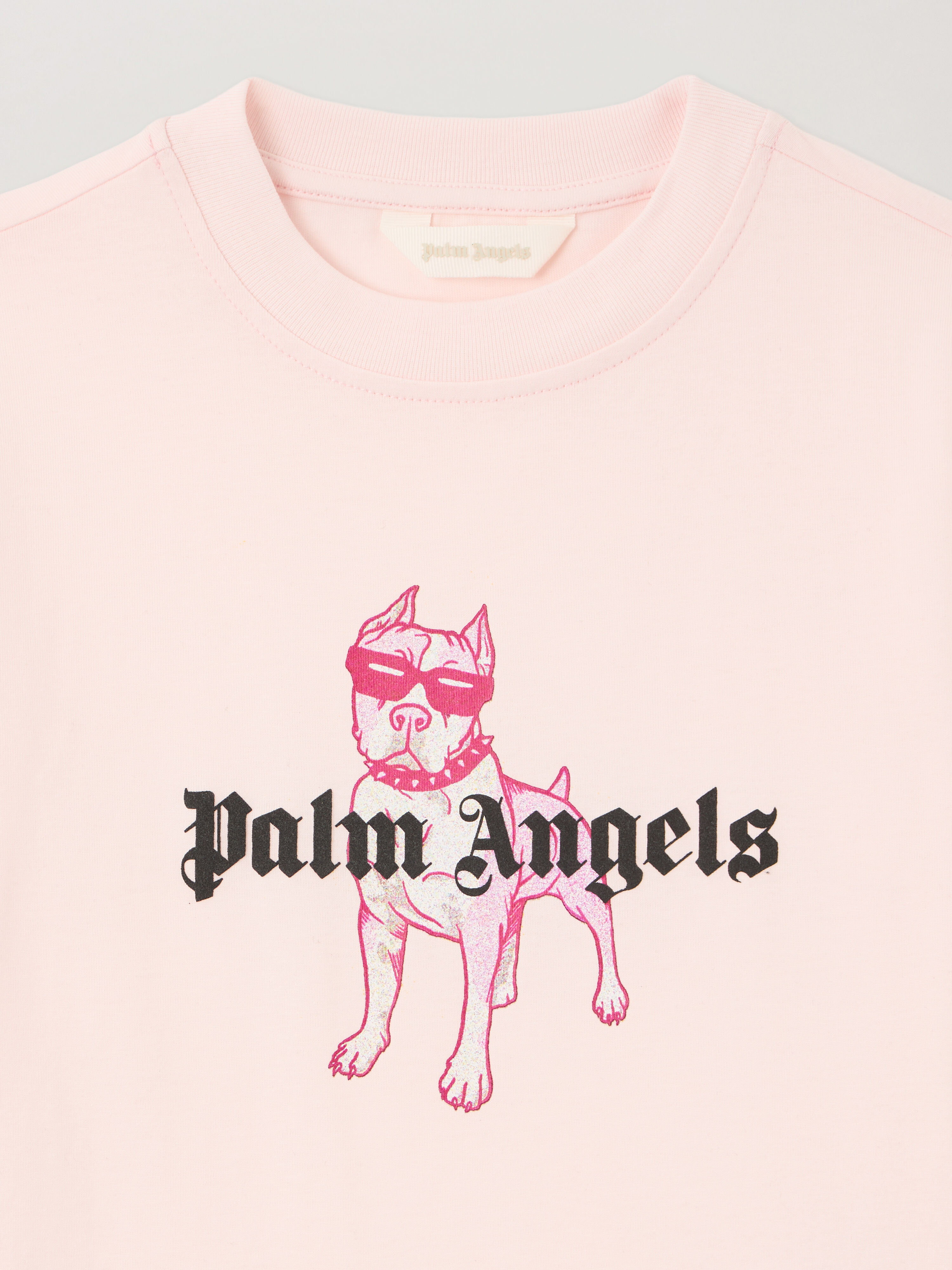 PALM ANGELS Palm Dog T-Shirt ROSA/PINK PGAA002S26JER009