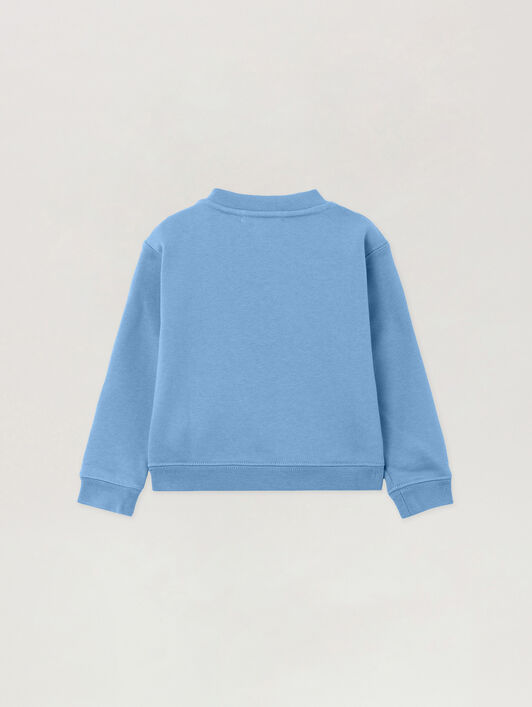 PALM ANGELS Pa Spray Bear Crewneck DUSTY BLUE - NAVY BLUE PBXC001F25FLE003