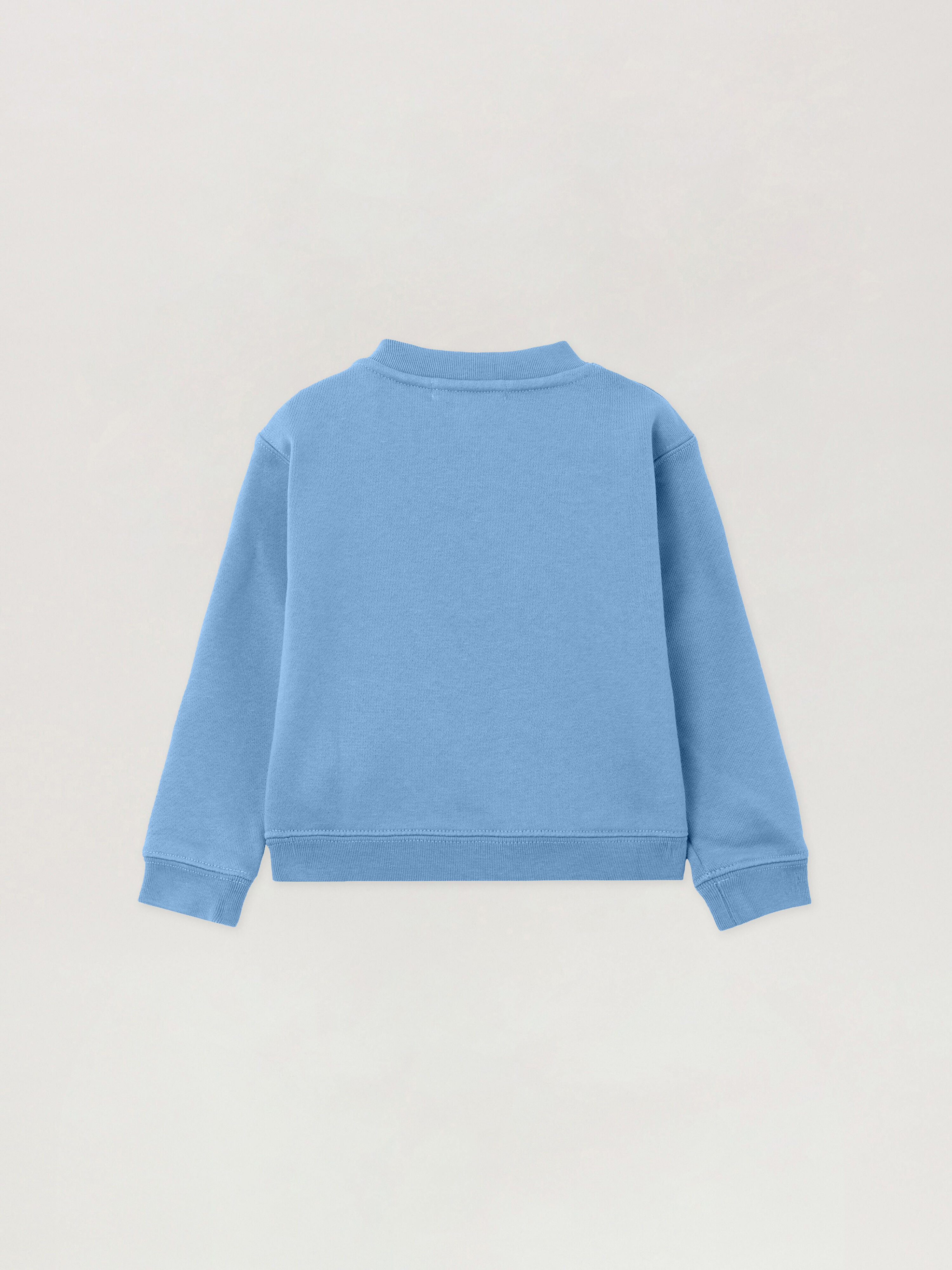 PALM ANGELS Pa Spray Bear Crewneck DUSTY BLUE - NAVY BLUE PBXC001F25FLE003