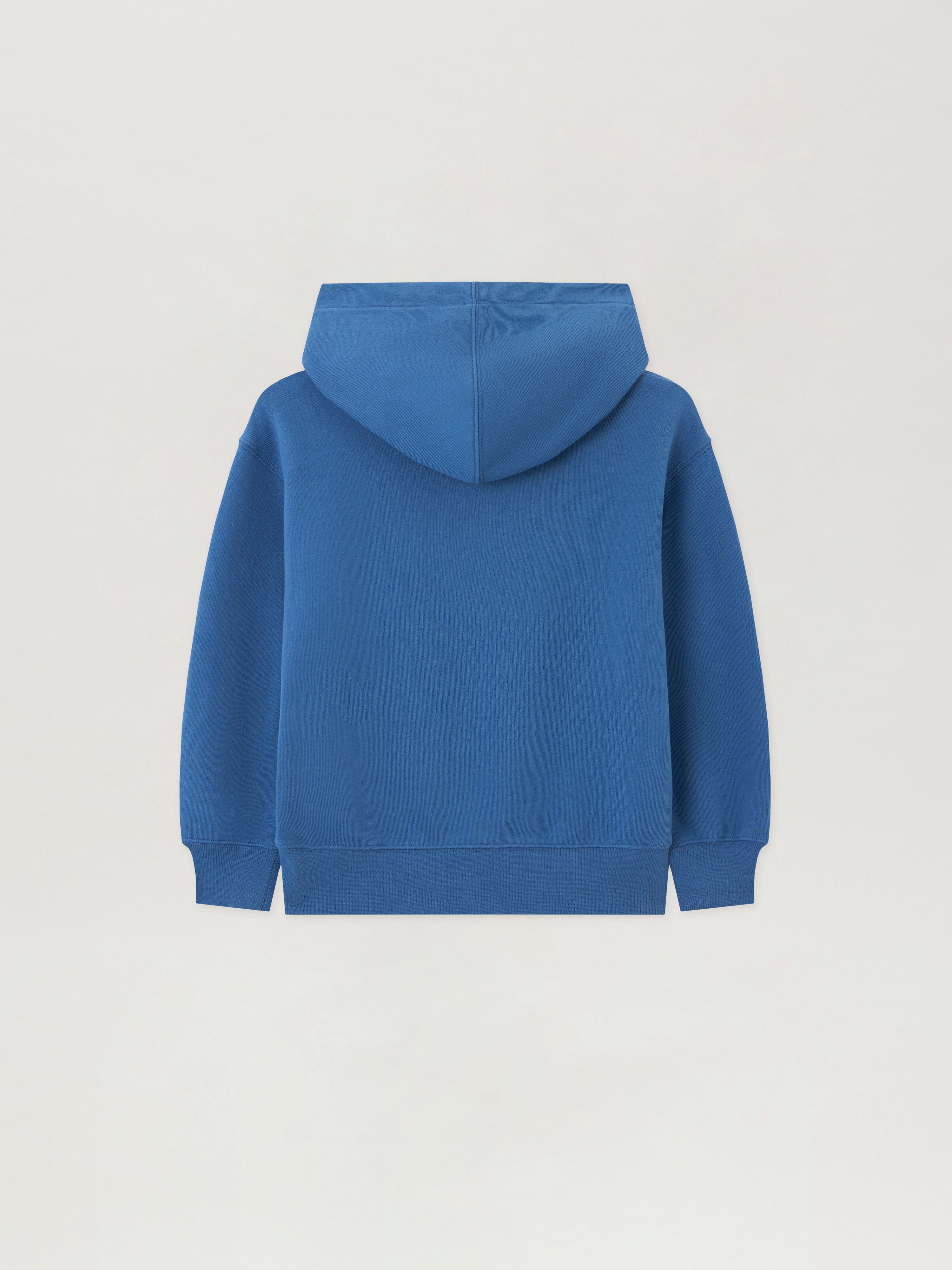 PALM ANGELS Spray Bear Hoodie BLU/BLUE PBBB012S26FLE006