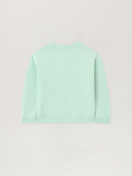 PALM ANGELS Bear Crewneck VERDE CHIARO/LIGHT GREEN PBXC001S26FLE003