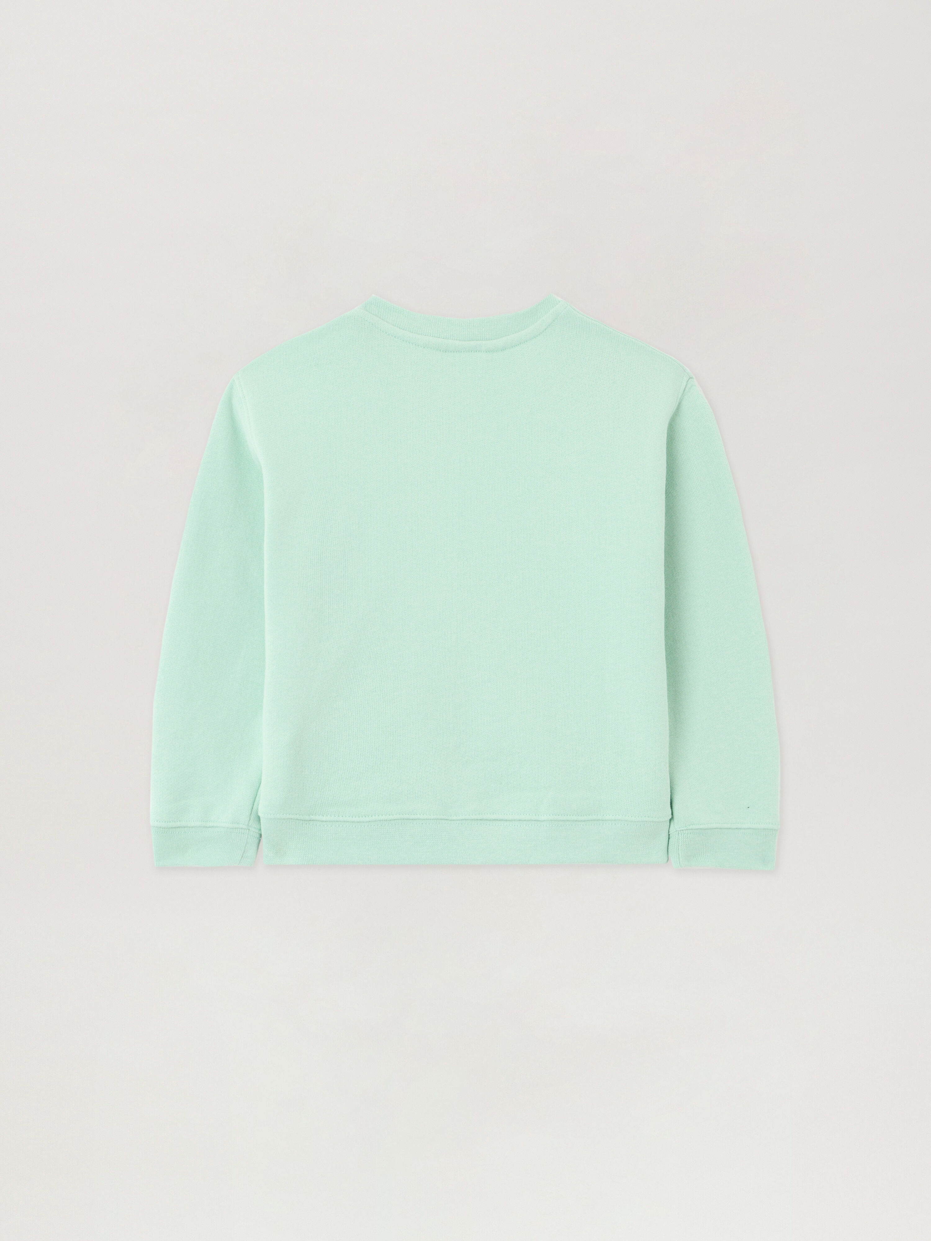 PALM ANGELS Bear Crewneck VERDE CHIARO/LIGHT GREEN PBXC001S26FLE003