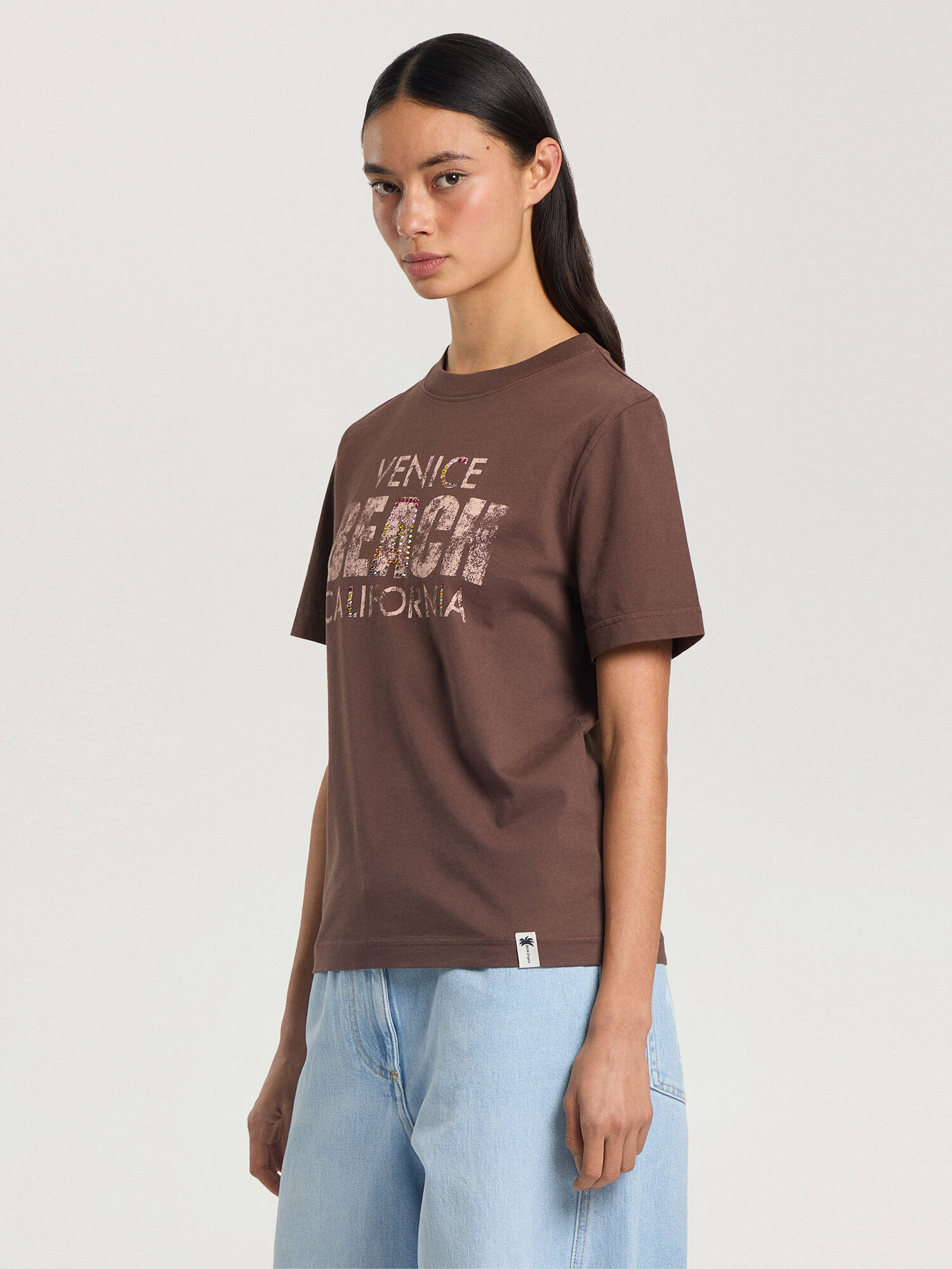 Cali Vibes Regular T-Shirt PALM ANGELS Cali Vibes Regular T-Shirt BROWN - PINK PAWAA06F26JR03