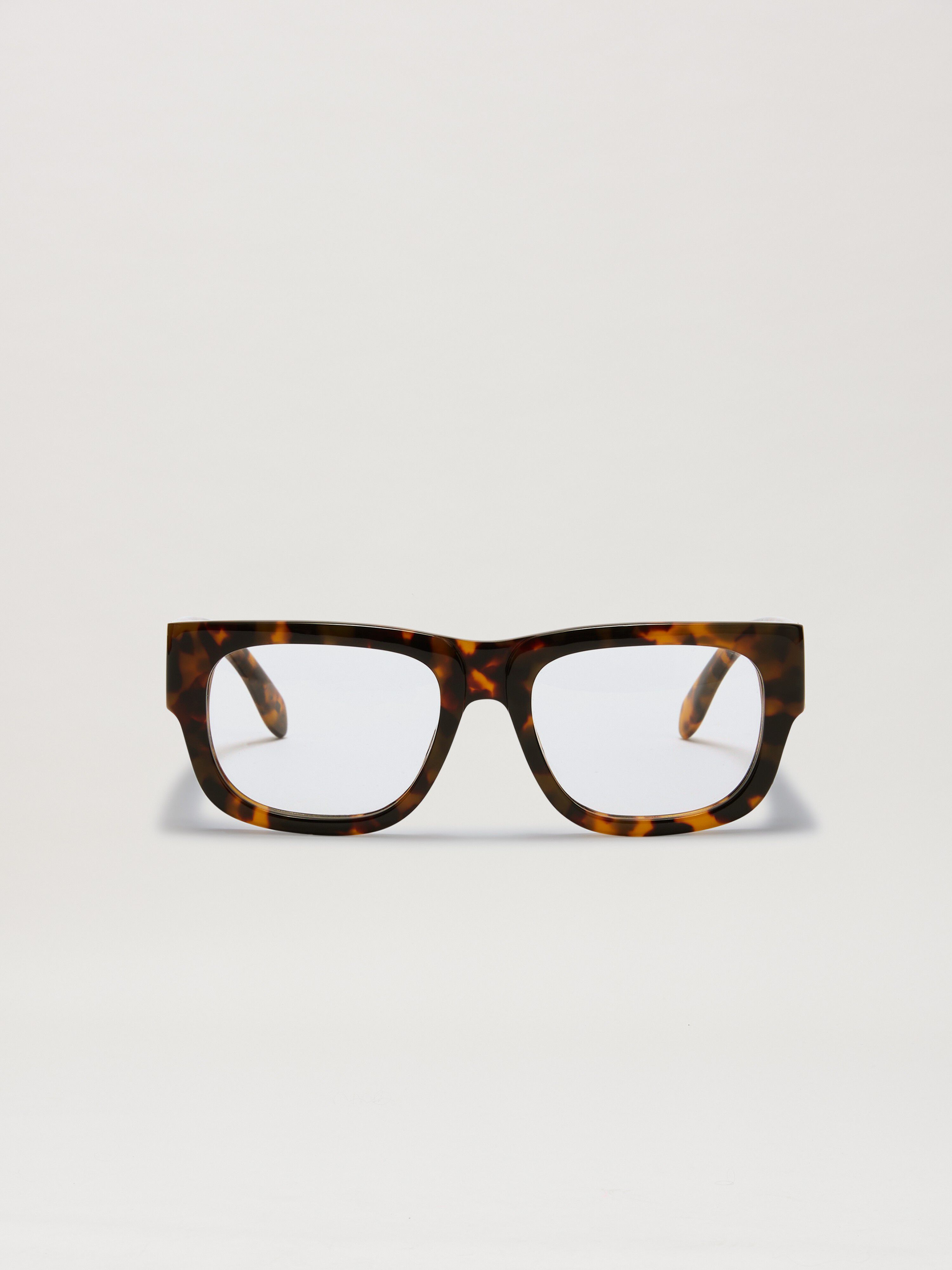 PALM ANGELS  Styke 14 eyewear HAVANA - NO COLOR PERJ014S25PLA001