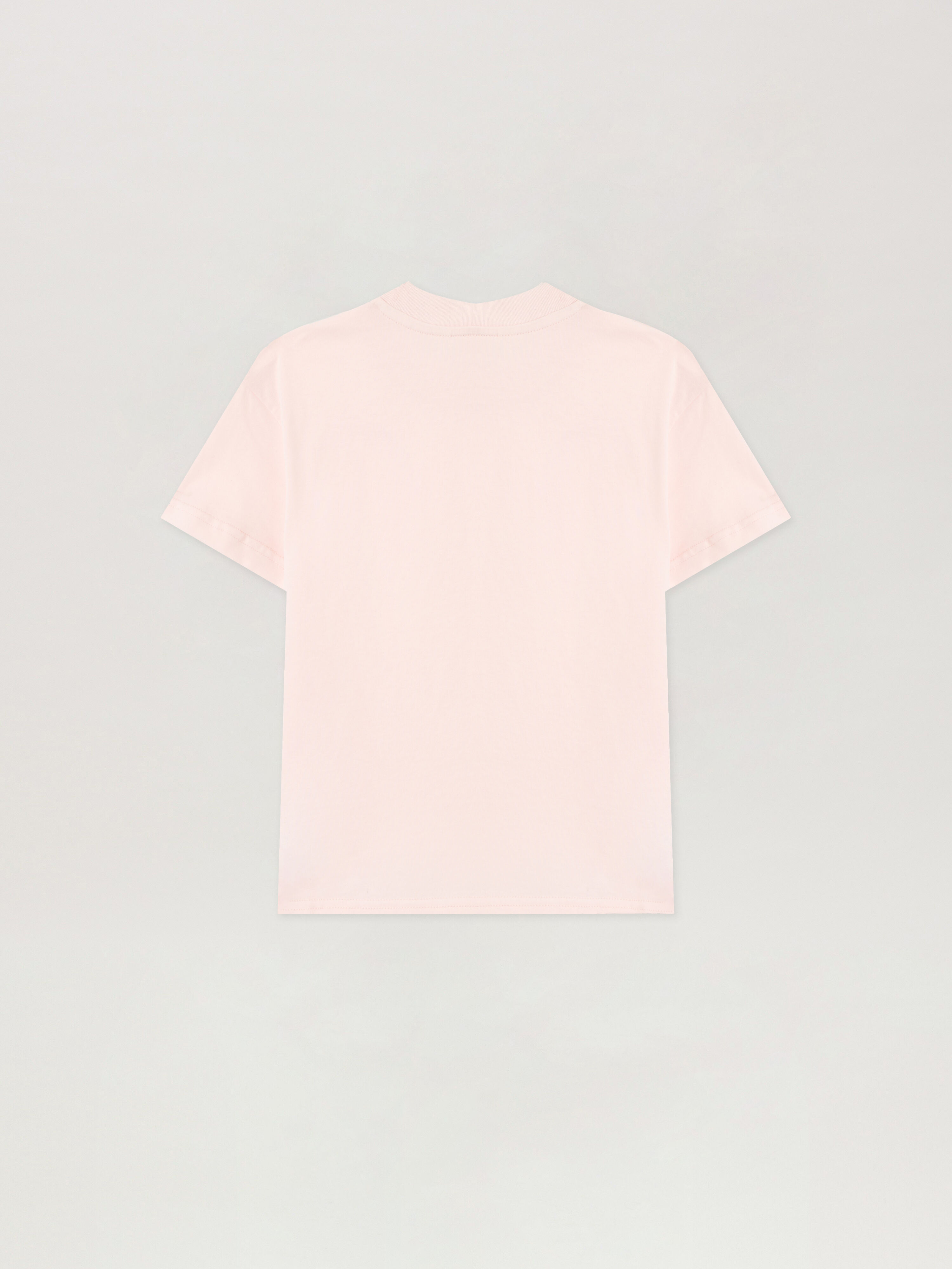 PALM ANGELS Neck Logo Brushed T-Shirt ROSA/PINK PGAA002S26JER005