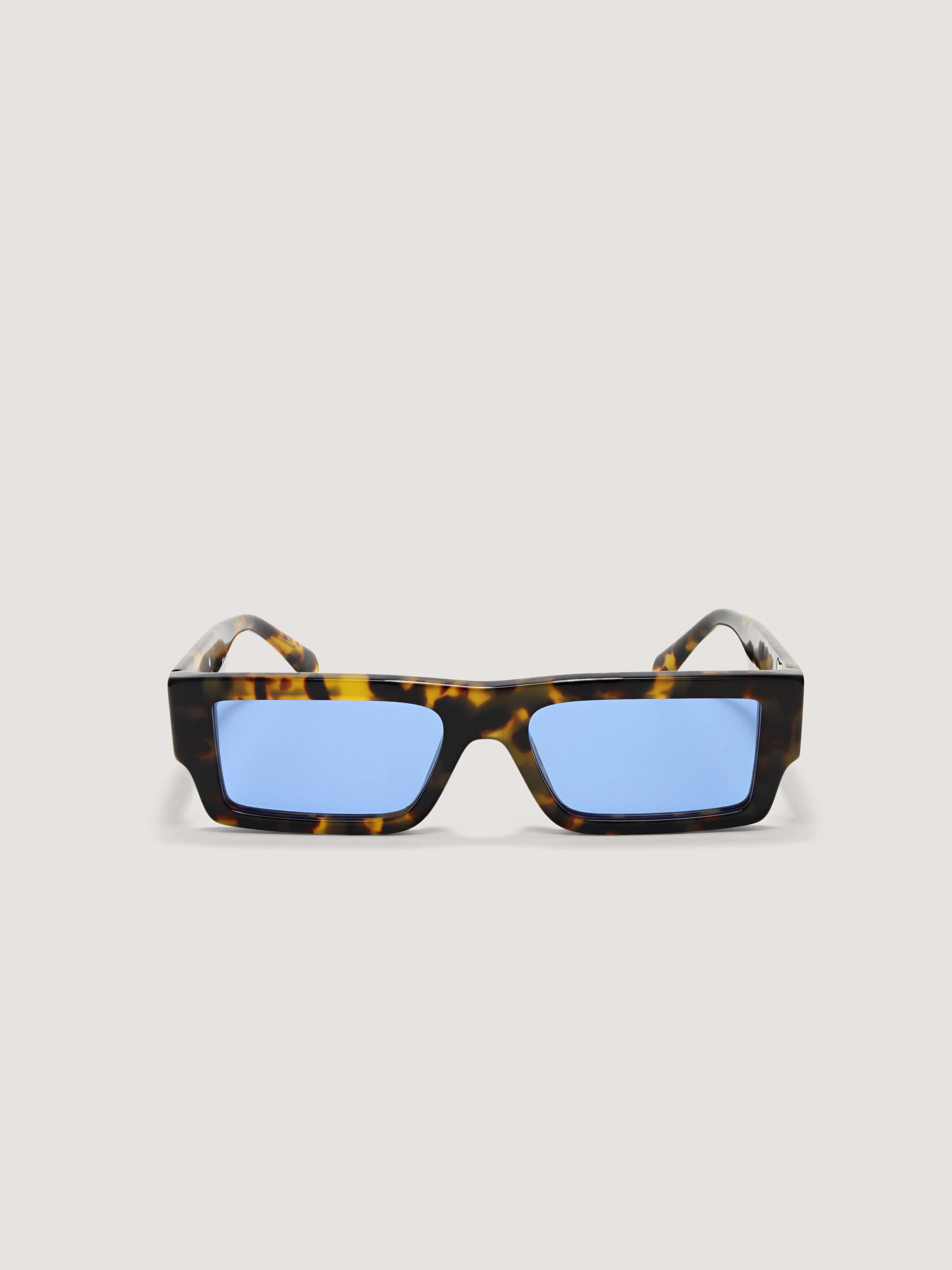 Belvedere Sunglasses PALM ANGELS Belvedere Sunglasses SHINY HAVANA PA1034604554