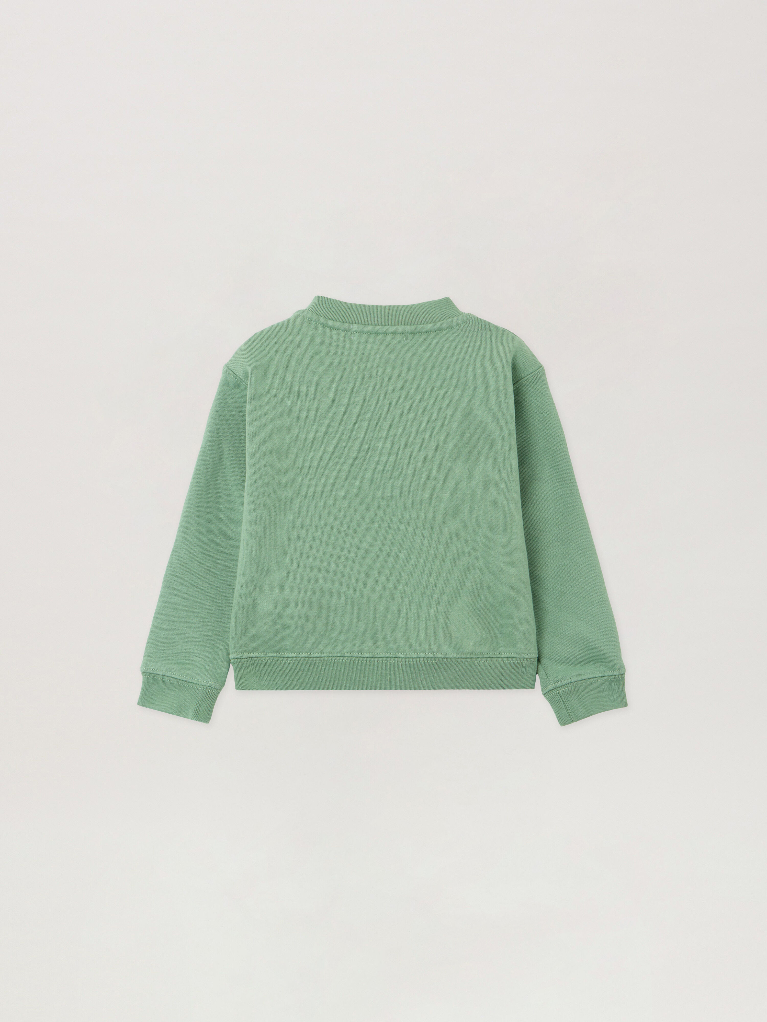 PALM ANGELS Curved Logo Crewneck LIGHT GREEN OFF WHITE PBXC001F25FLE002
