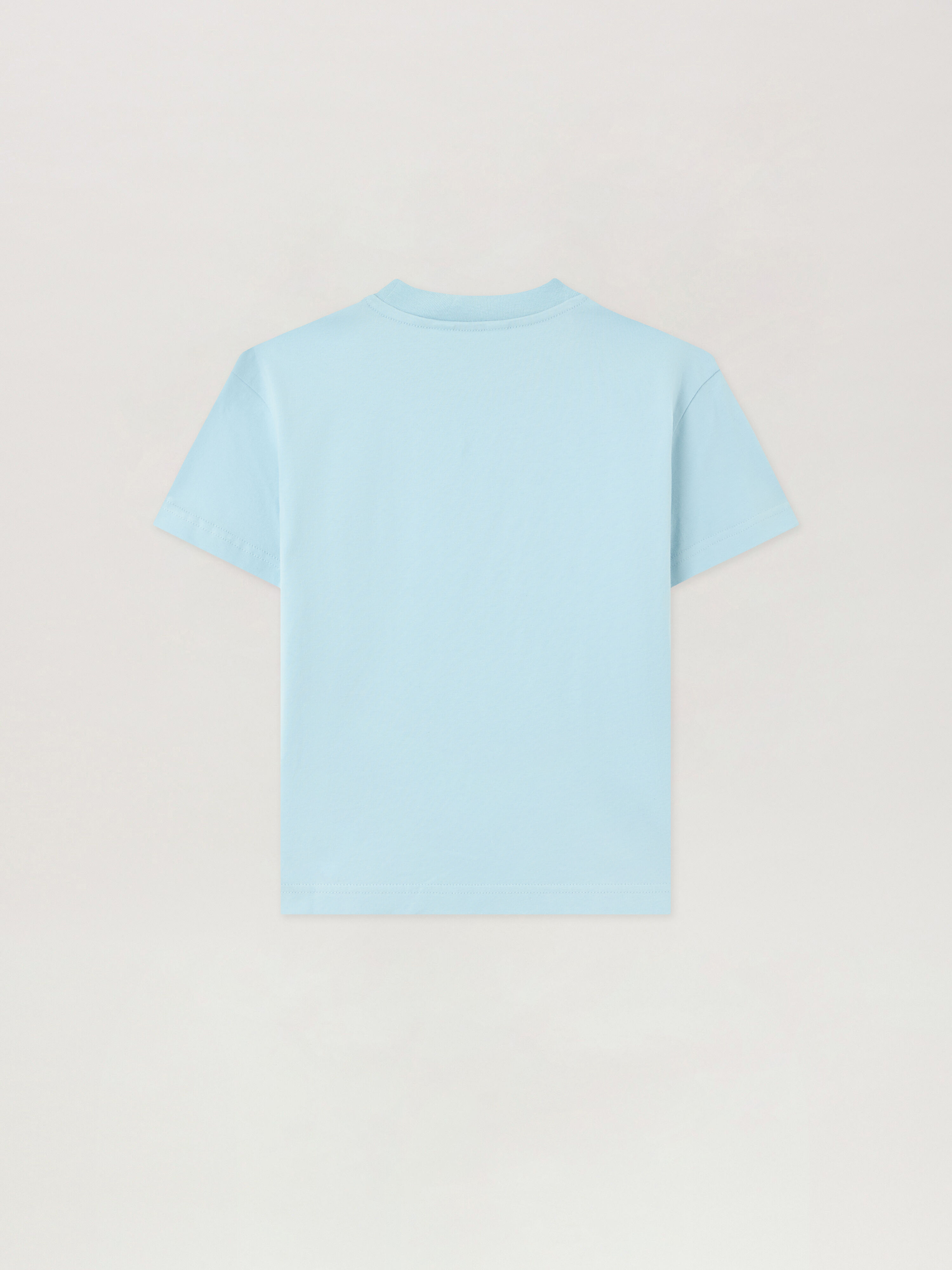 PALM ANGELS Neck Logo Brushed T-Shirt BLU BIMBO/ BABY BLUE PBAA003S26JER004