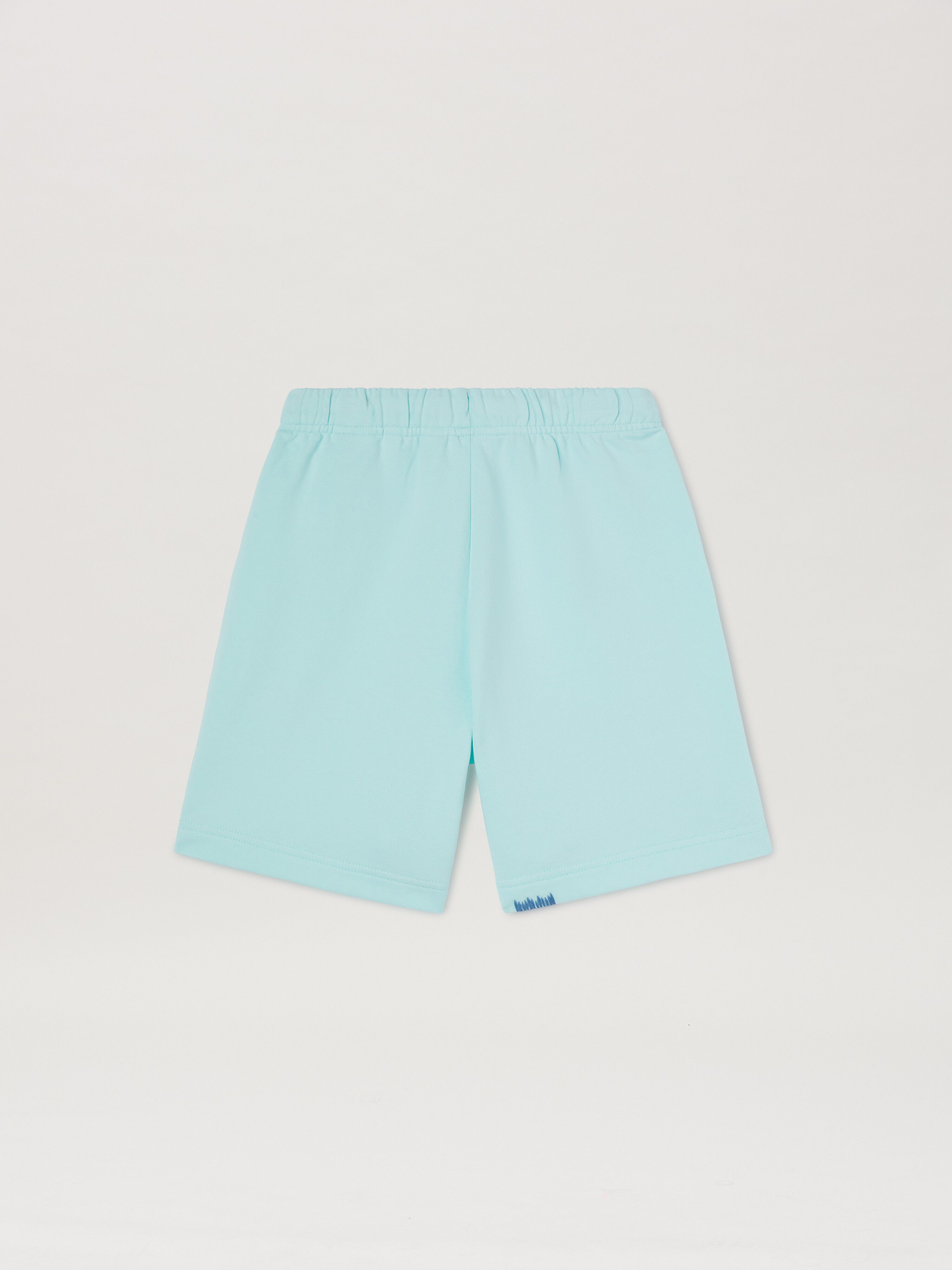 PALM ANGELS Sweat-Shorts mit mehrfarbiger Stickerei SKY BLUE GREEN PBCI006S25FLE001