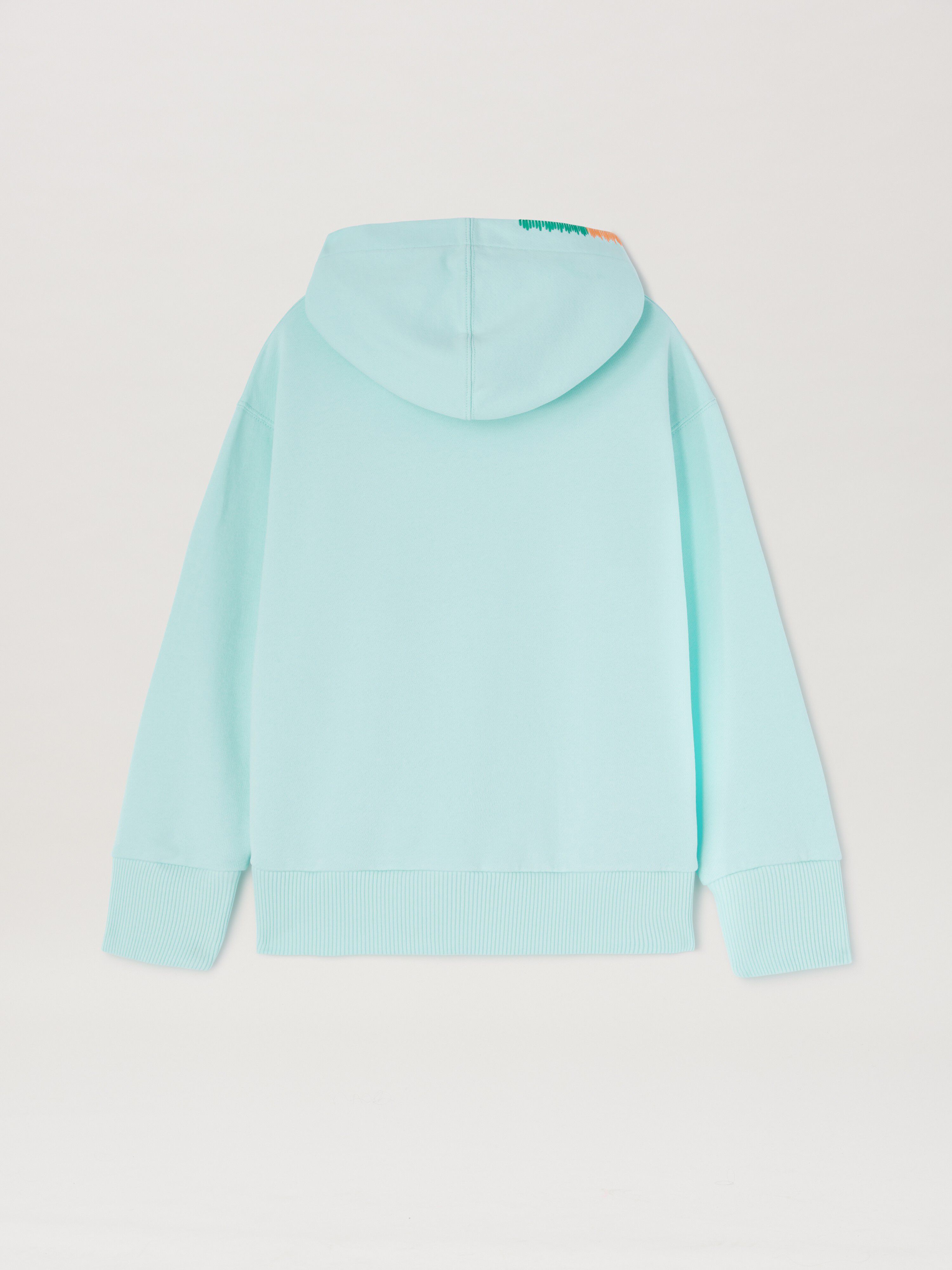 PALM ANGELS  Multicolor embroidered hoodie SKY BLUE GREEN PBBB012S25FLE001