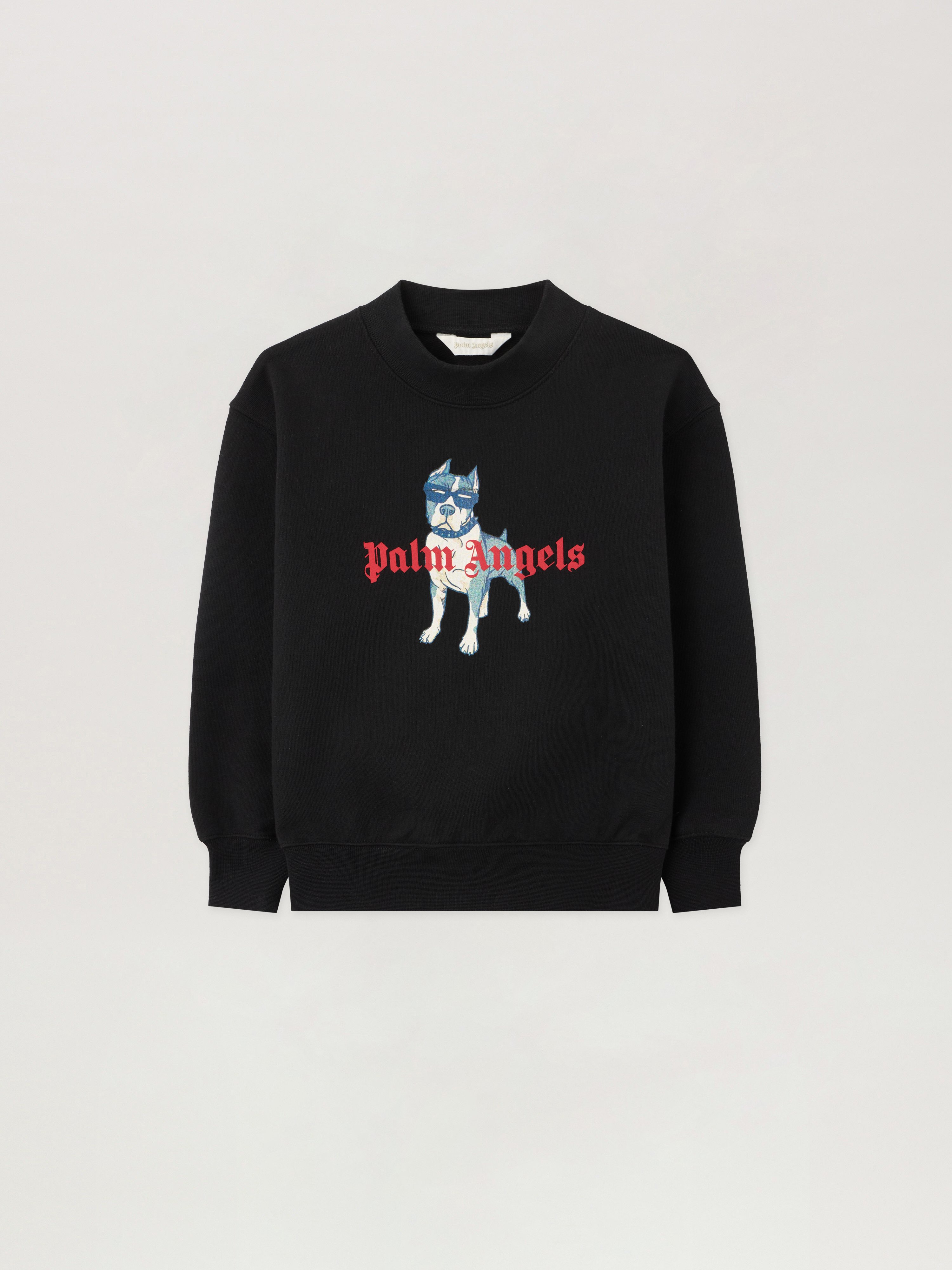 Palm Dog Graphic Hoodie in NERO/BLACK | Palm Angels®