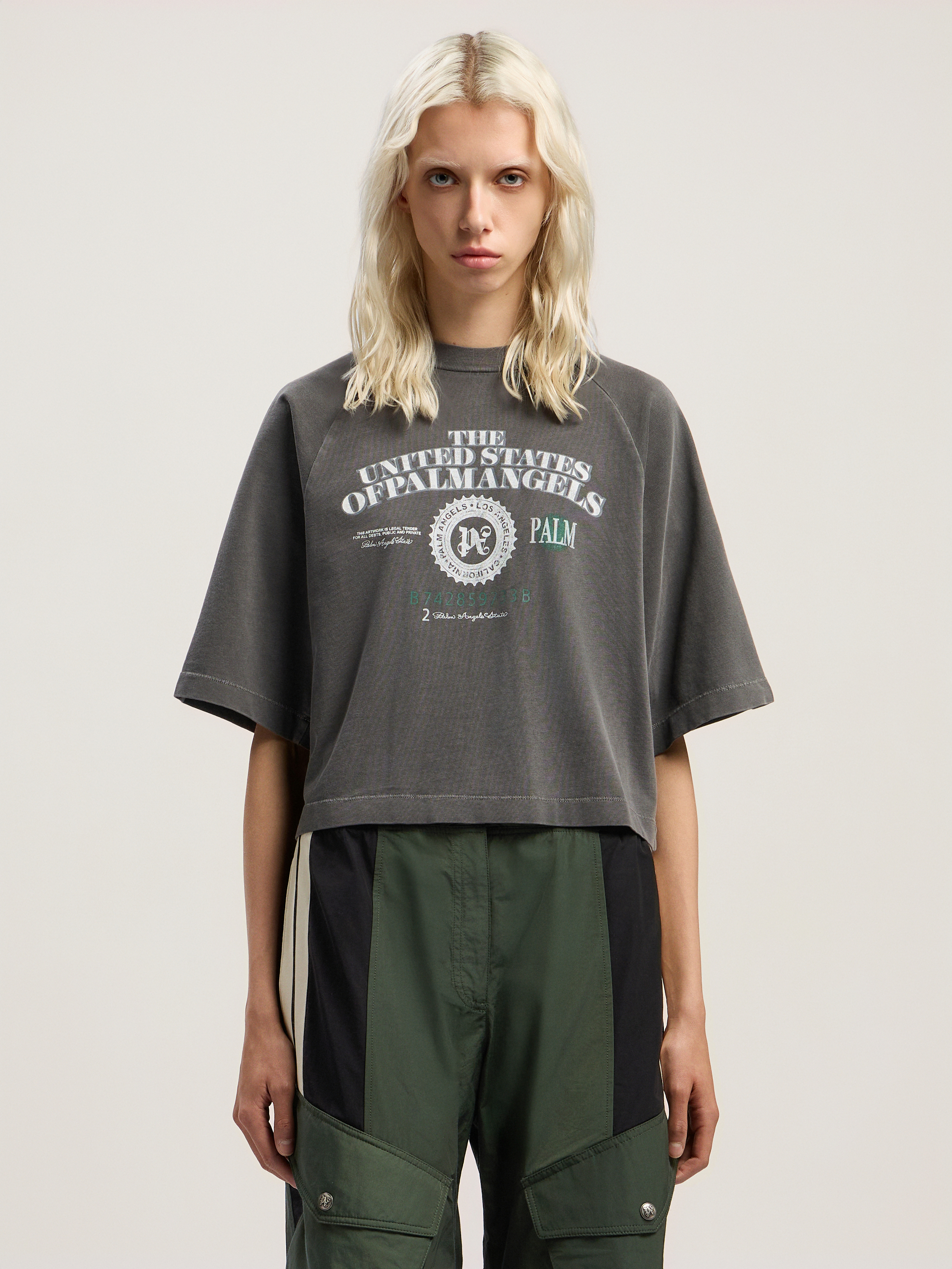 Palm Angels Dollar Cropped Tee In Multi