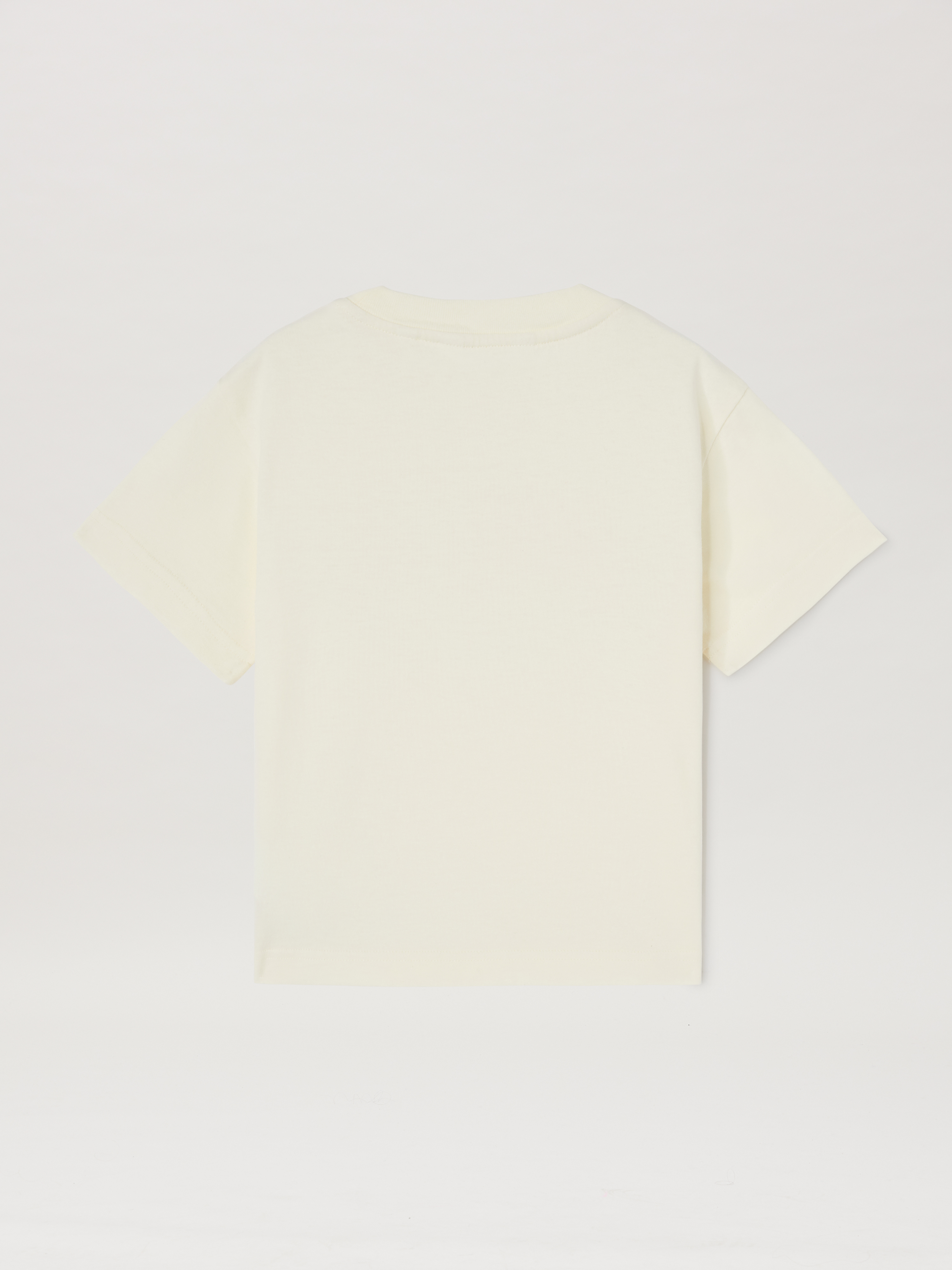 Palm Angels Bear T-shirt S/s Butter Brow In Neutral