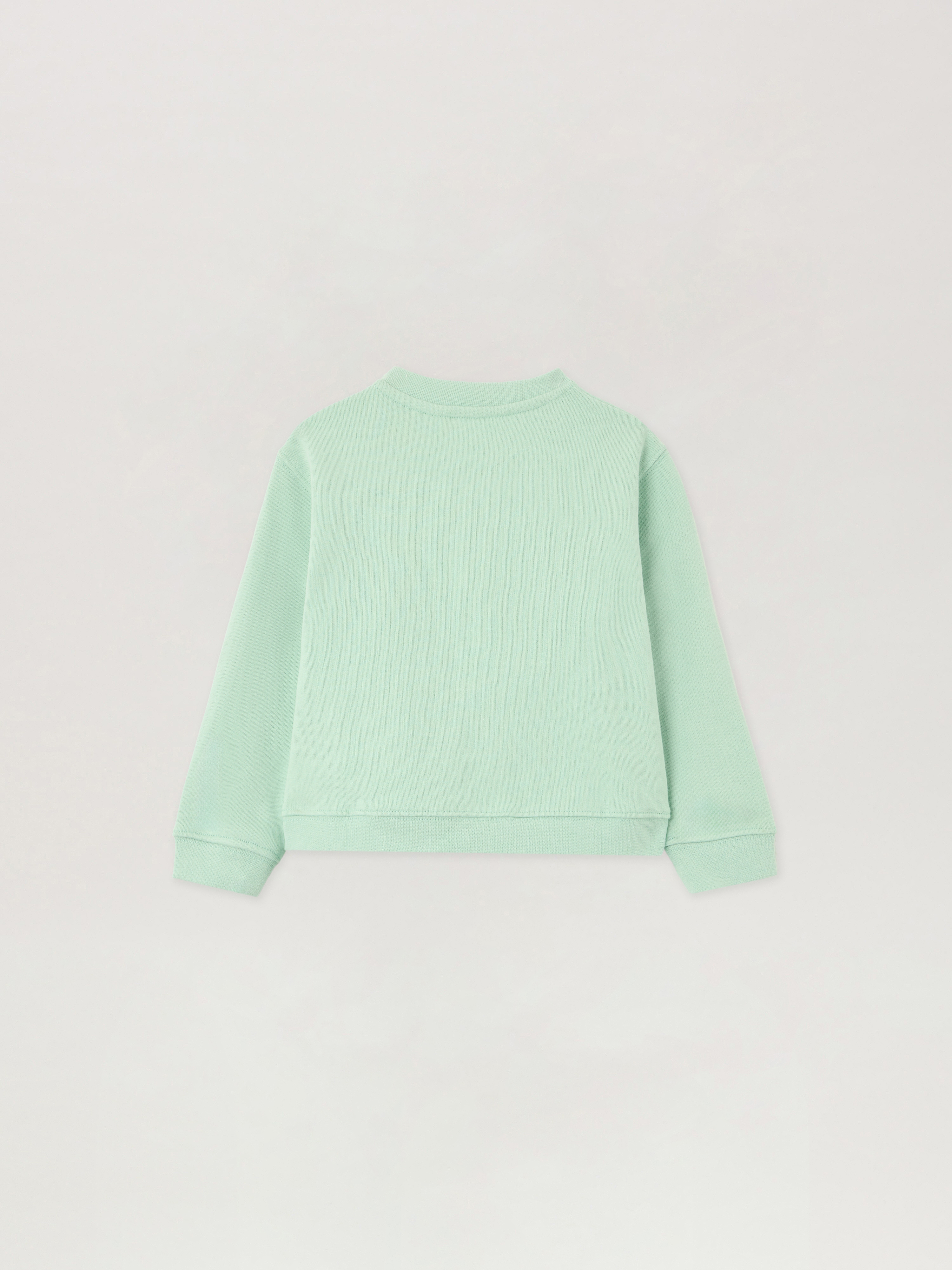  Palm Angels Spray Bear Crewneck Sweatshirt Kids  Verde Chiaro/light Green 