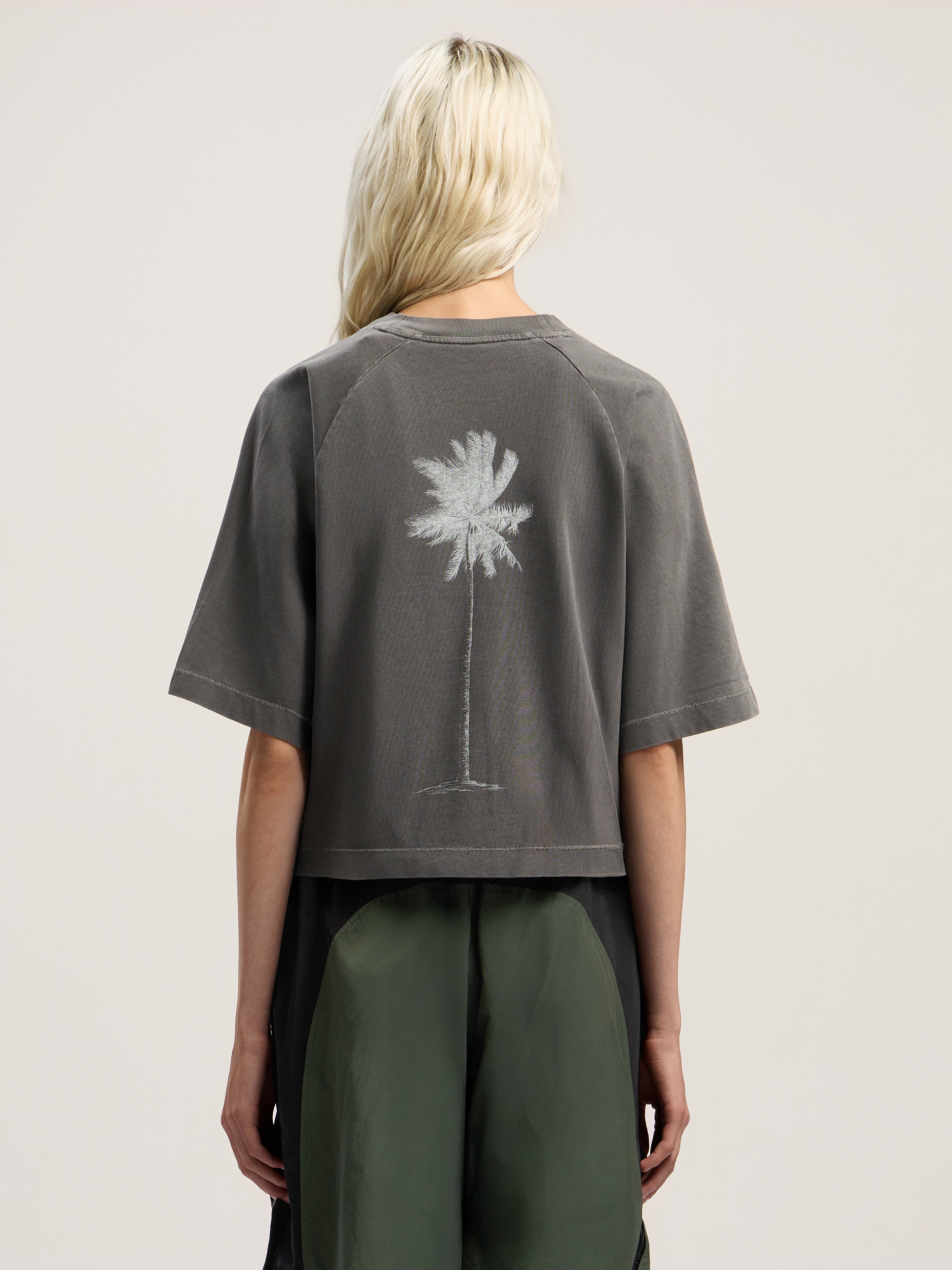Palm Angels Dollar Cropped Tee In Multi